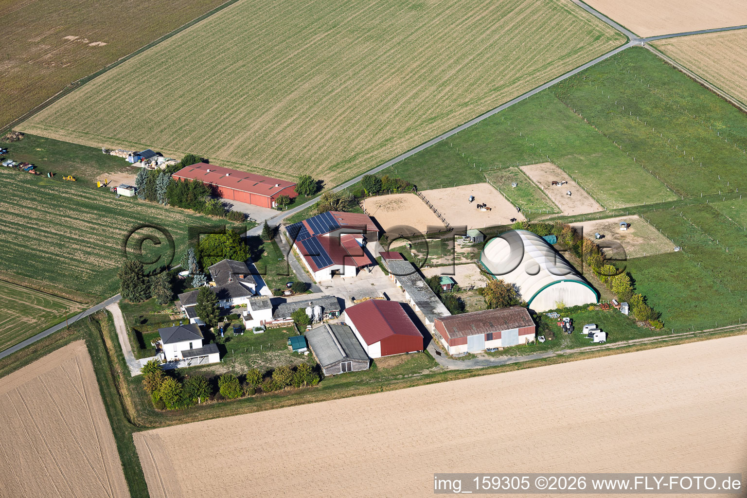 Aussiedlerhof von Lothar Krapp Landwirt im Ortsteil Langstadt in Babenhausen im Bundesland Hessen, Deutschland