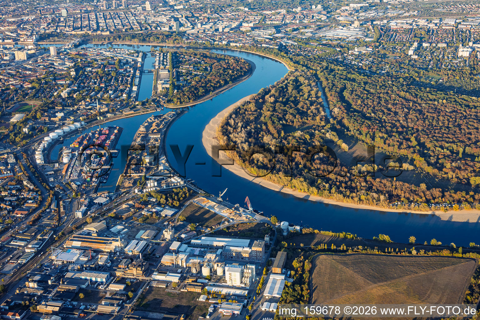 Niedrigwasser am Rhein um die Reißinsel gegenüber Kaiserwörthhafen im Ortsteil Niederfeld in Mannheim im Bundesland Baden-Württemberg, Deutschland