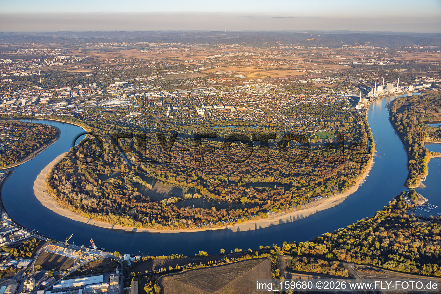 Niedrigwasser am Rhein um das Naturschutzgebiet Reißinsel / Kuckucksinsel im Ortsteil Niederfeld in Mannheim im Bundesland Baden-Württemberg, Deutschland