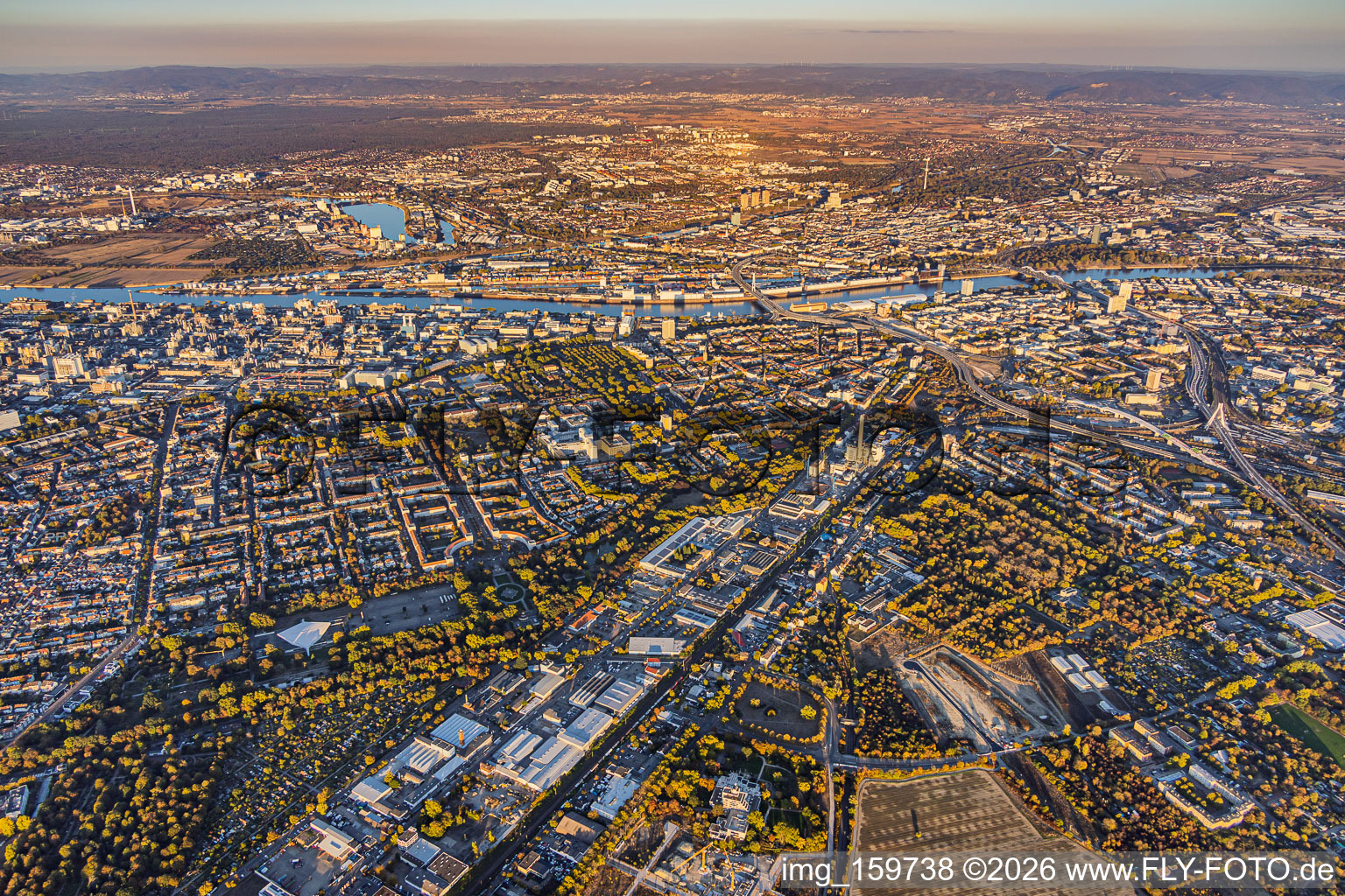 Stadtübersicht aus Westen von der Industriestraße bis zur BASF am Rhein im Ortsteil Friesenheim in Ludwigshafen im Bundesland Rheinland-Pfalz, Deutschland