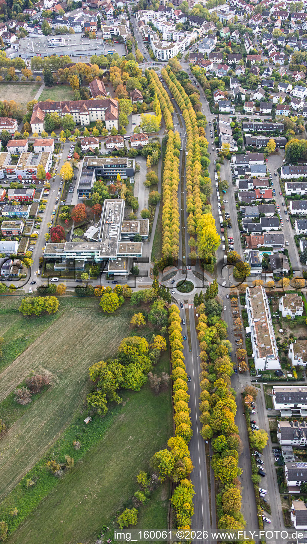 Herbstliche Allee der Karlsruher Straße in Ettlingen im Bundesland Baden-Württemberg, Deutschland