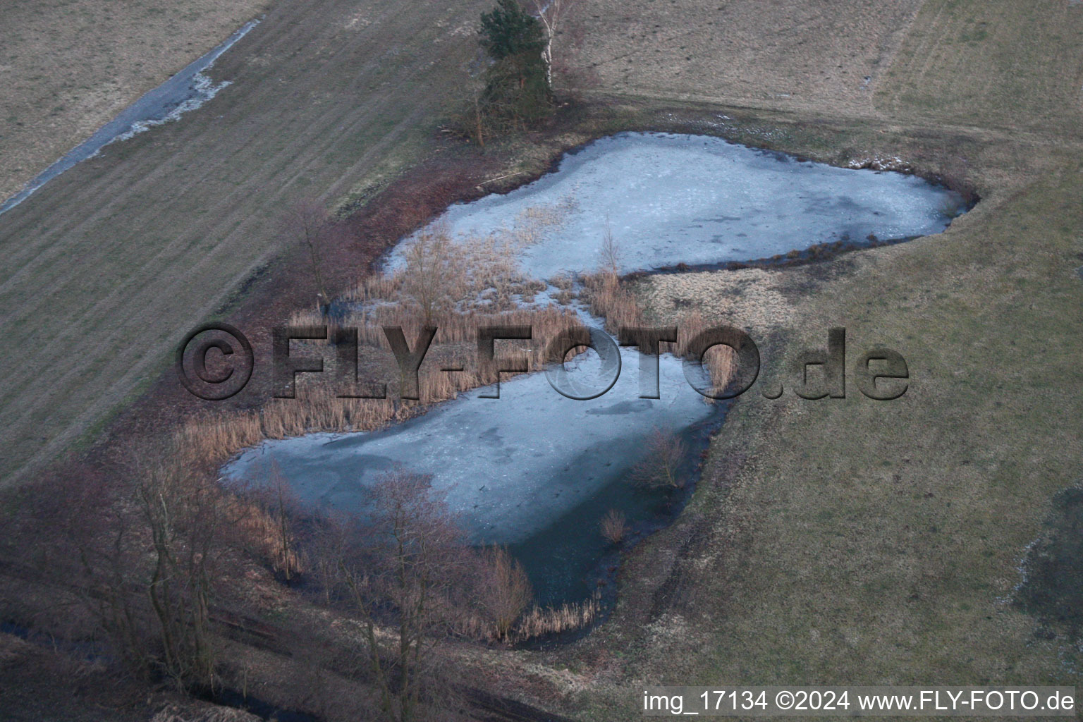 Winterlich schneebedeckte Tümpel und Morast- Wasseroberfläche in einer Teichlandschaft in Minfeld im Bundesland Rheinland-Pfalz, Deutschland