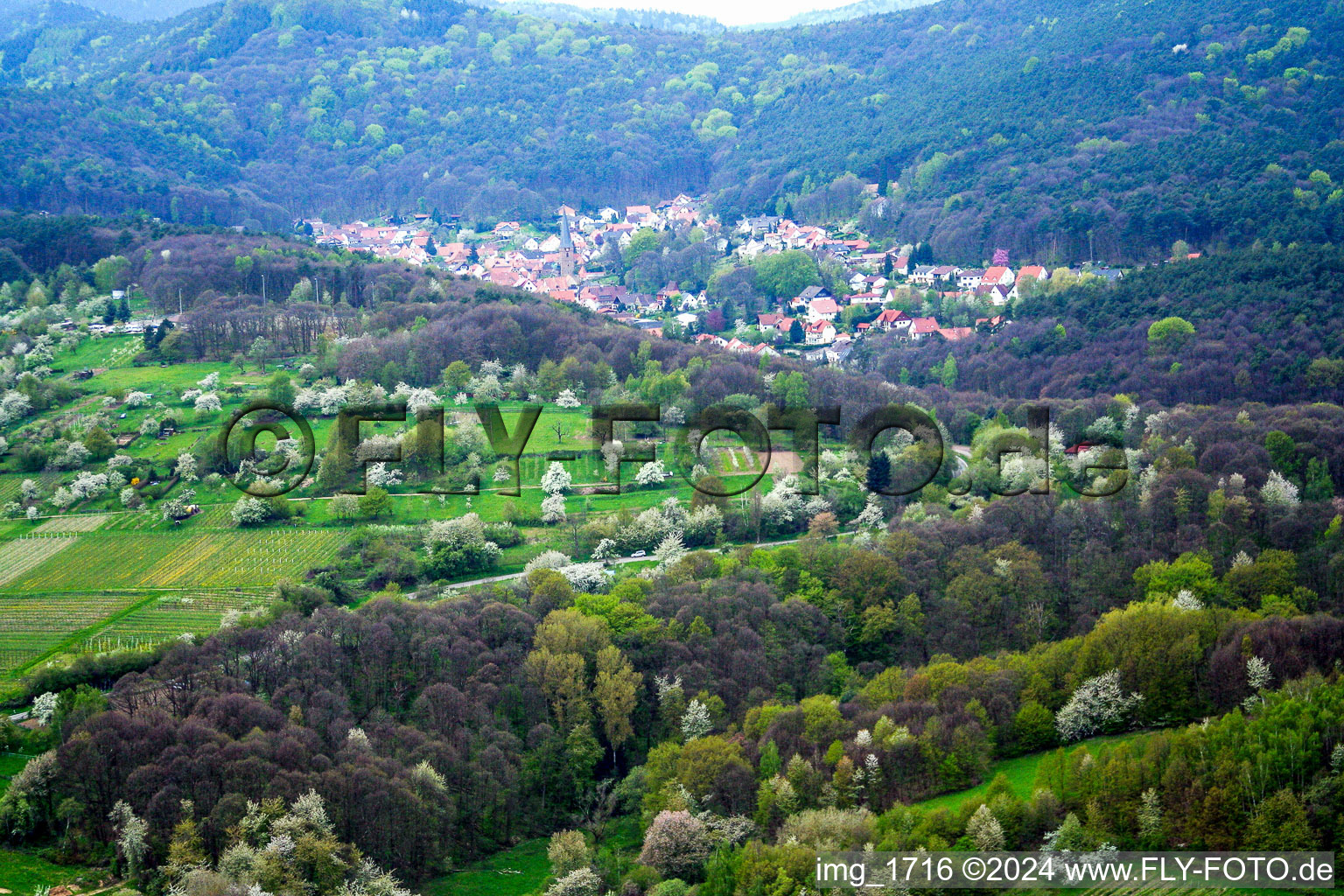 Dorf - Ansicht am Rande von landwirtschaftlichen Feldern und Nutzflächen in Dörrenbach im Bundesland Rheinland-Pfalz, Deutschland