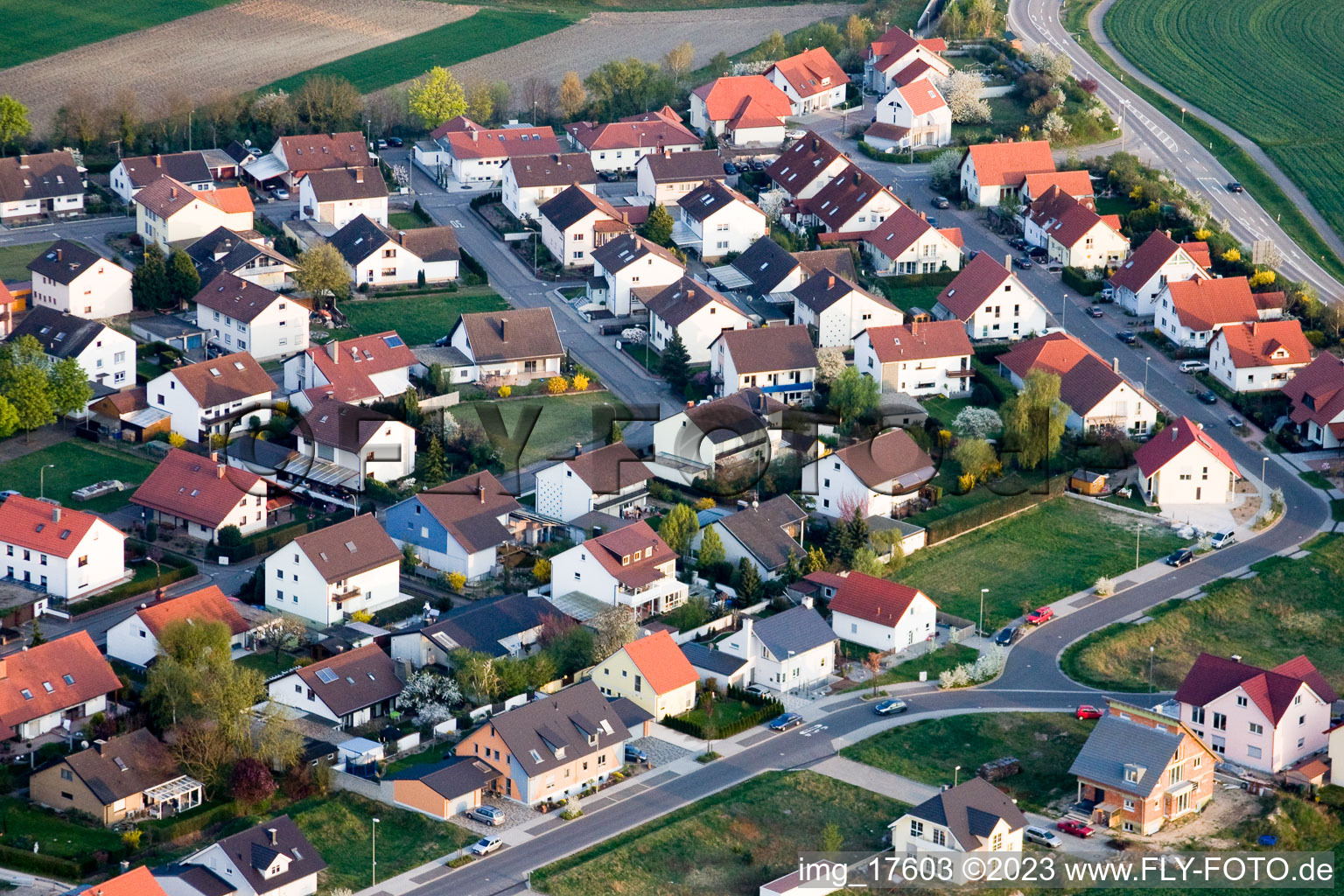Luftaufnahme von Neupotz im Bundesland Rheinland-Pfalz, Deutschland