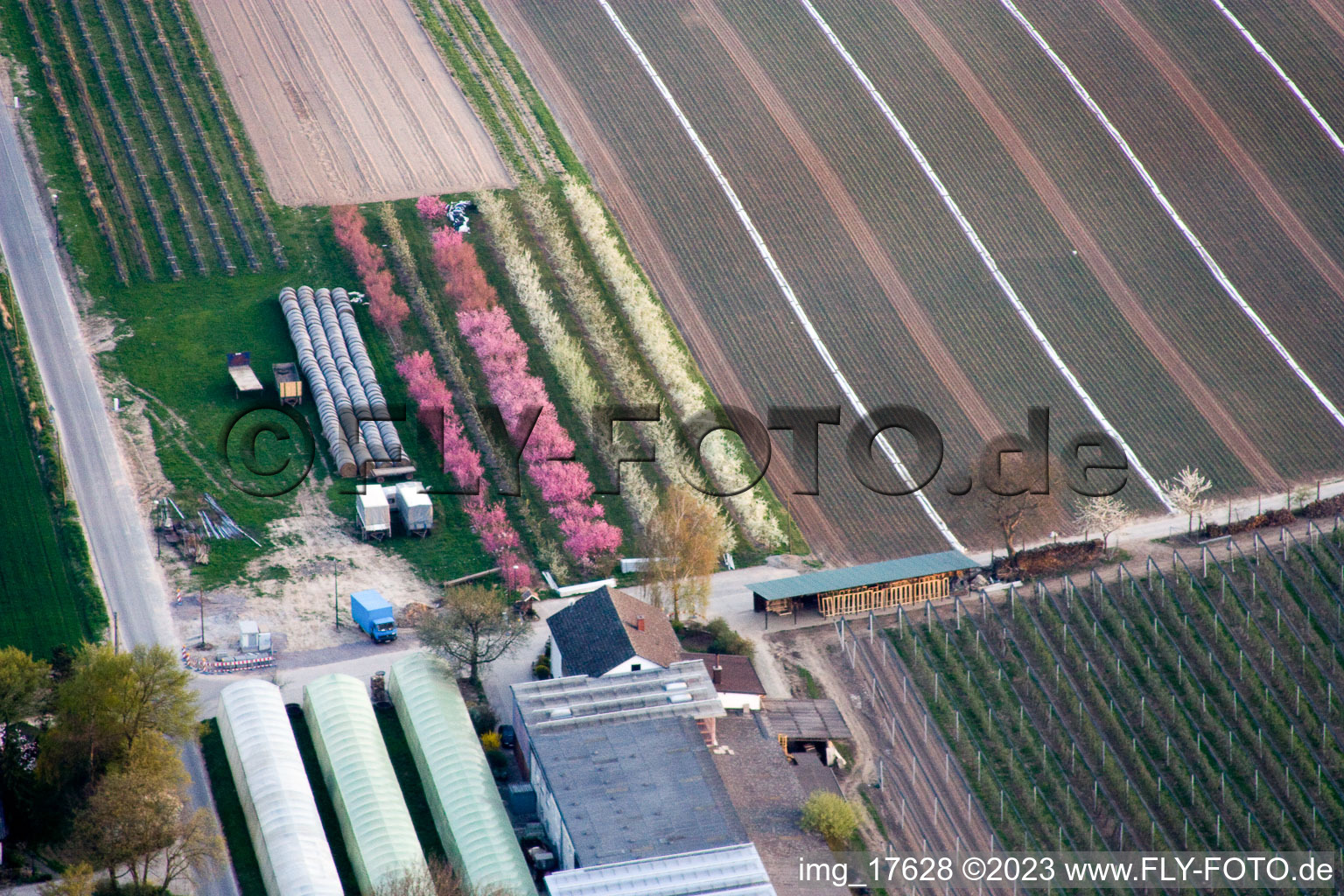 Kandel, Obsthof Zapf im Bundesland Rheinland-Pfalz, Deutschland vom Flugzeug aus