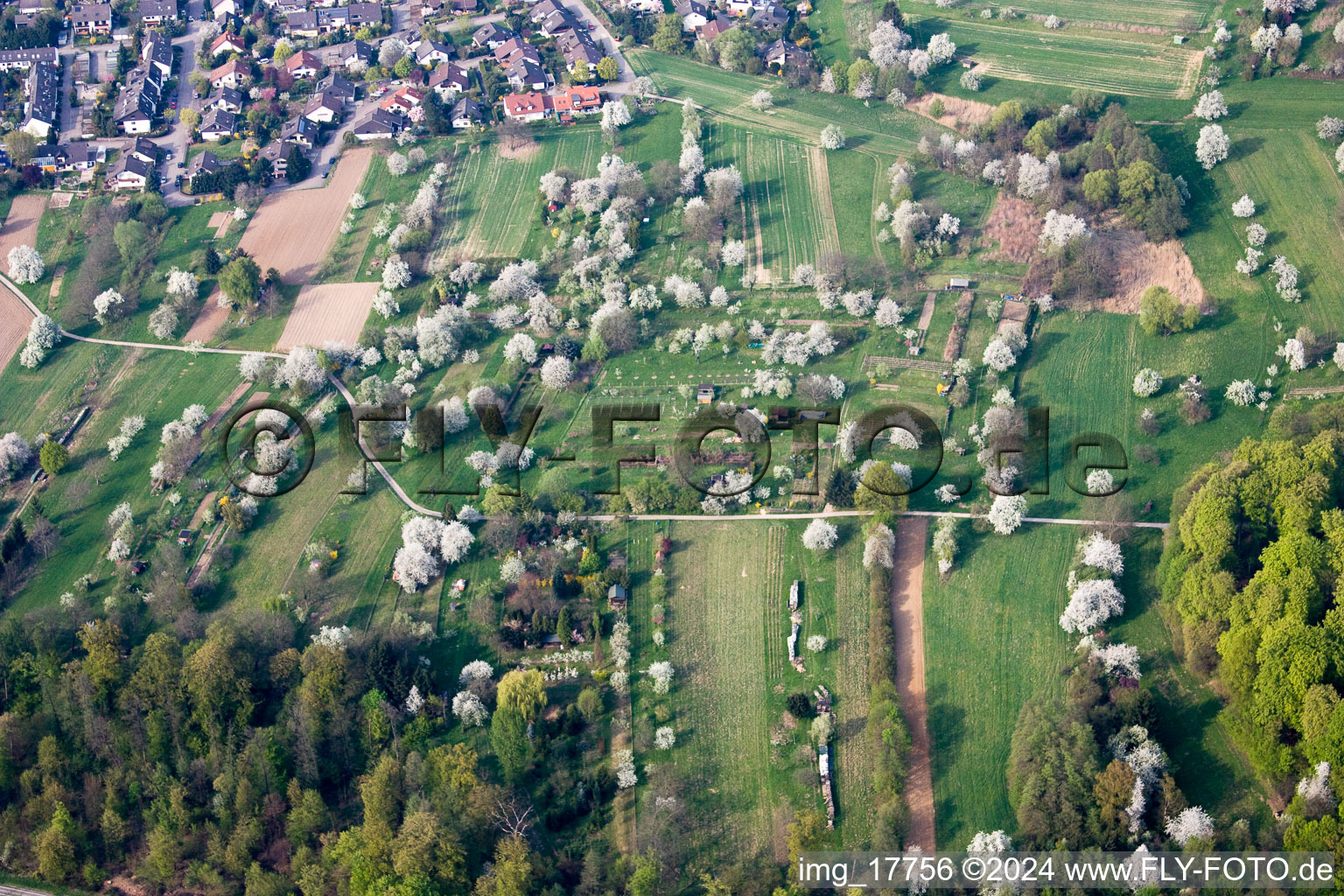 Parzellen einer Kleingartenanlage im Ortsteil Oberweier in Gaggenau im Bundesland Baden-Württemberg, Deutschland