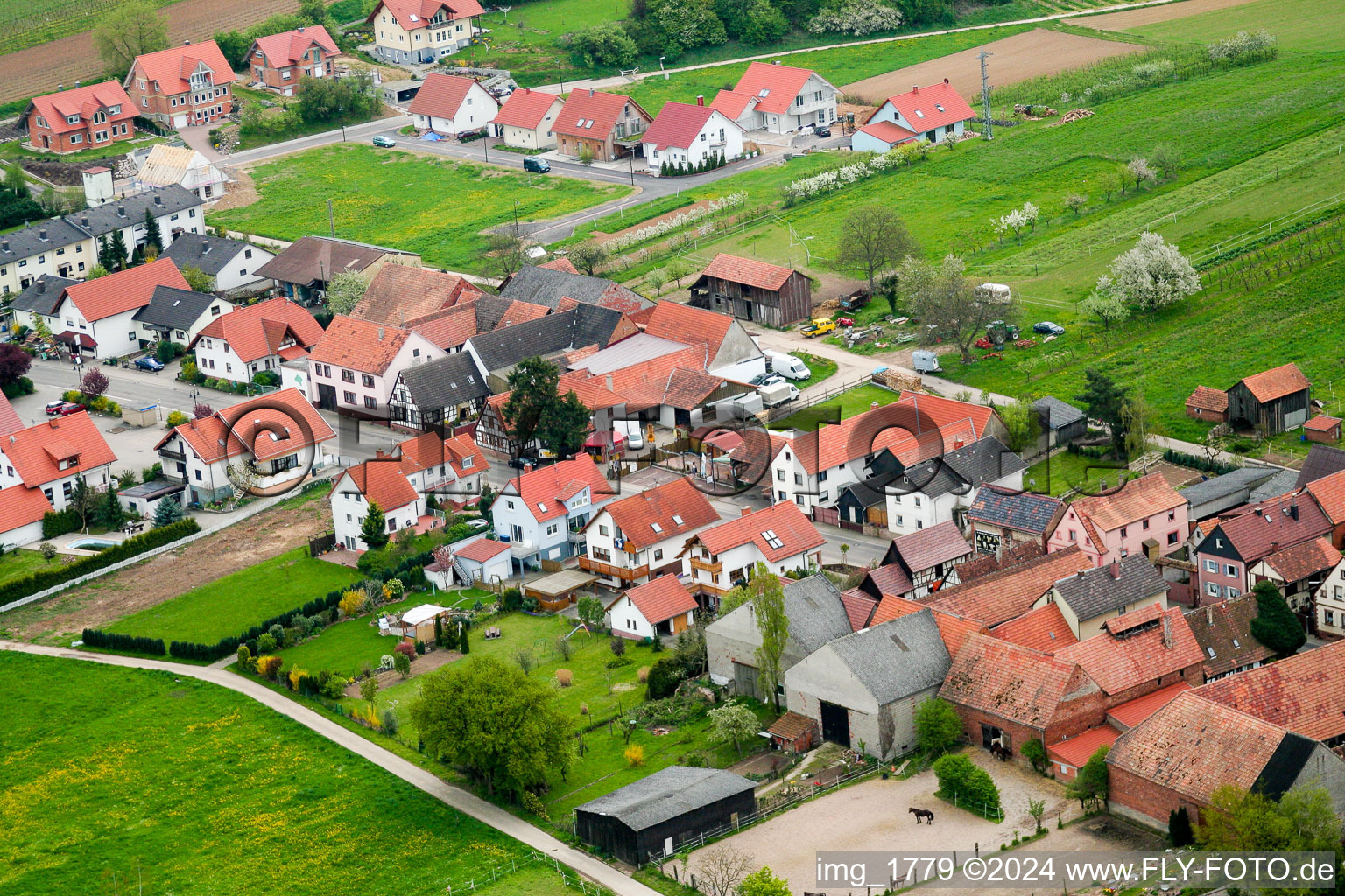 Luftbild von Dorf - Ansicht am Rande von landwirtschaftlichen Feldern und Nutzflächen in Hergersweiler im Bundesland Rheinland-Pfalz, Deutschland