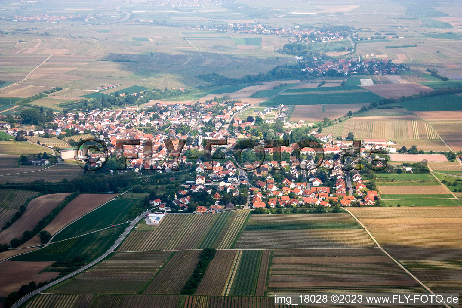 Kleinkarlbach im Bundesland Rheinland-Pfalz, Deutschland aus der Vogelperspektive