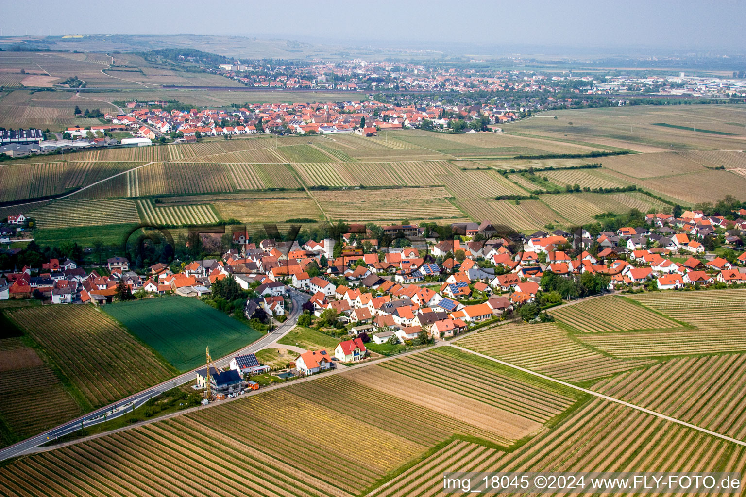 Dorf - Ansicht am Rande von landwirtschaftlichen Feldern und Nutzflächen in Kleinkarlbach im Bundesland Rheinland-Pfalz, Deutschland
