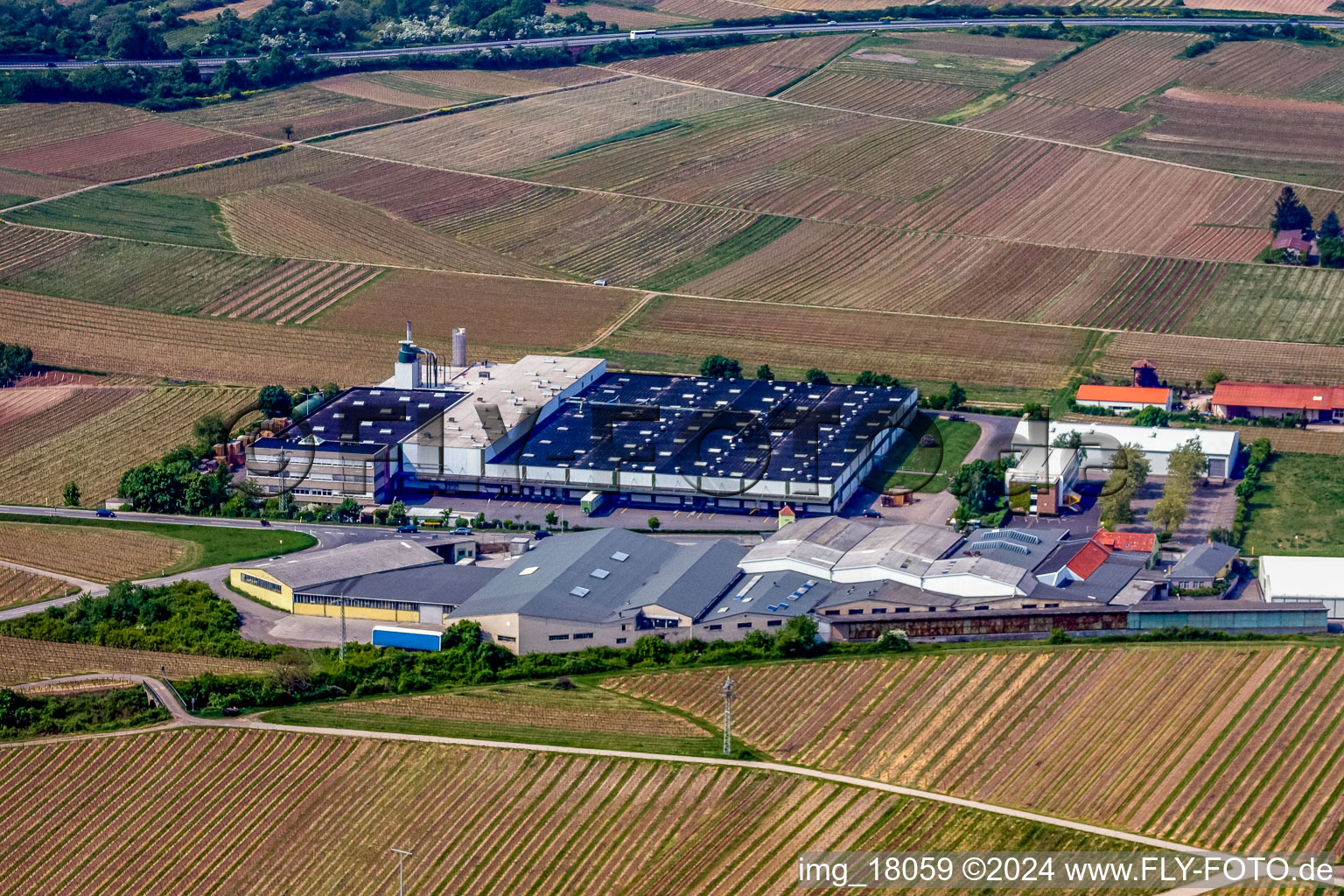 Luftaufnahme von Gebäude und Produktionshallen auf dem Werksgelände Wellpappenfabrik GmbH im Ortsteil Sausenheim in Grünstadt im Bundesland Rheinland-Pfalz, Deutschland