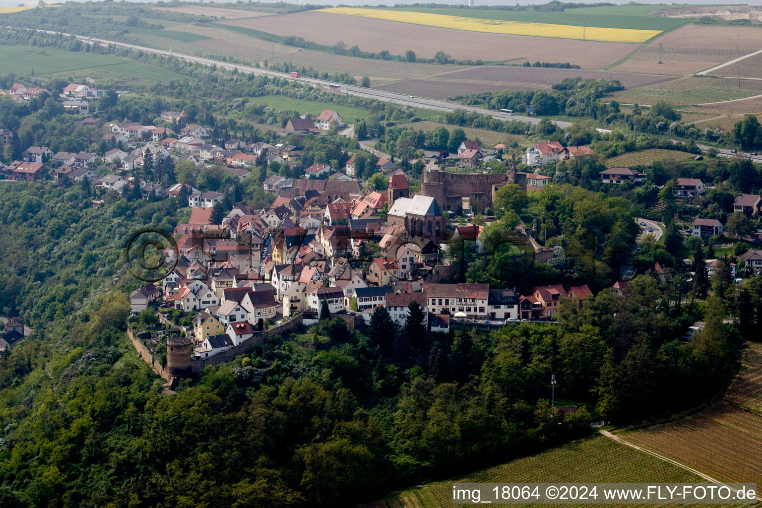 Burganlage der Veste Neuleiningen in Neuleiningen im Bundesland Rheinland-Pfalz, Deutschland