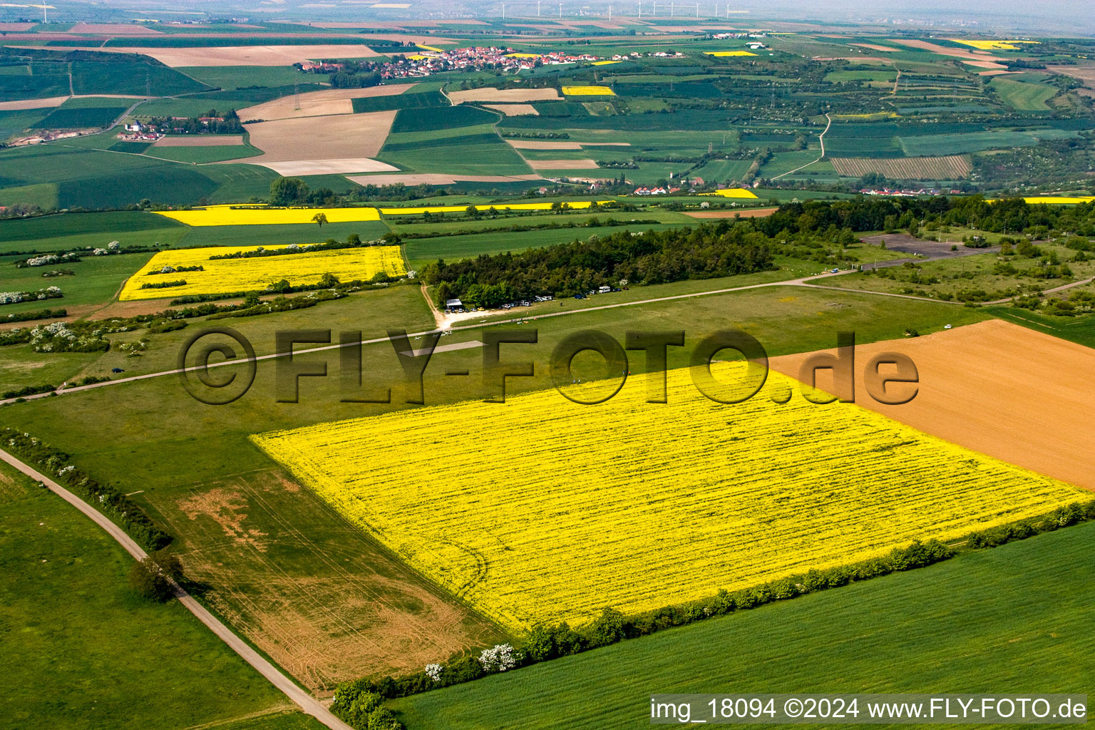 Grünstadt, Modellflugplatz Tiefenthal im Ortsteil Sausenheim im Bundesland Rheinland-Pfalz, Deutschland