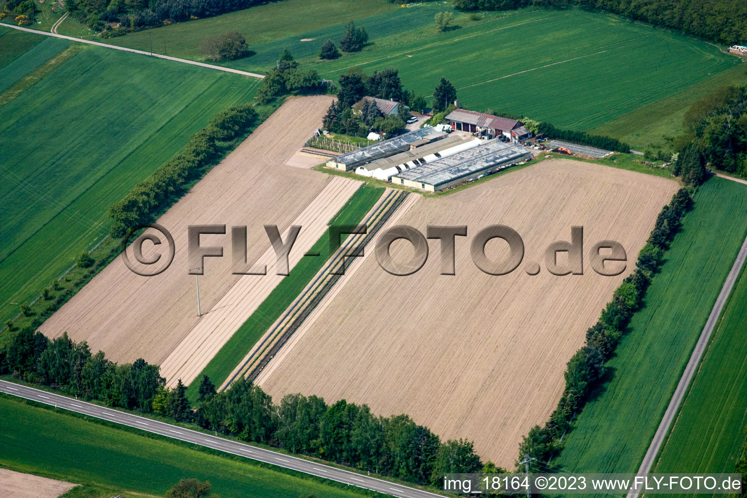 Luftaufnahme von Neulauterburg im Bundesland Rheinland-Pfalz, Deutschland