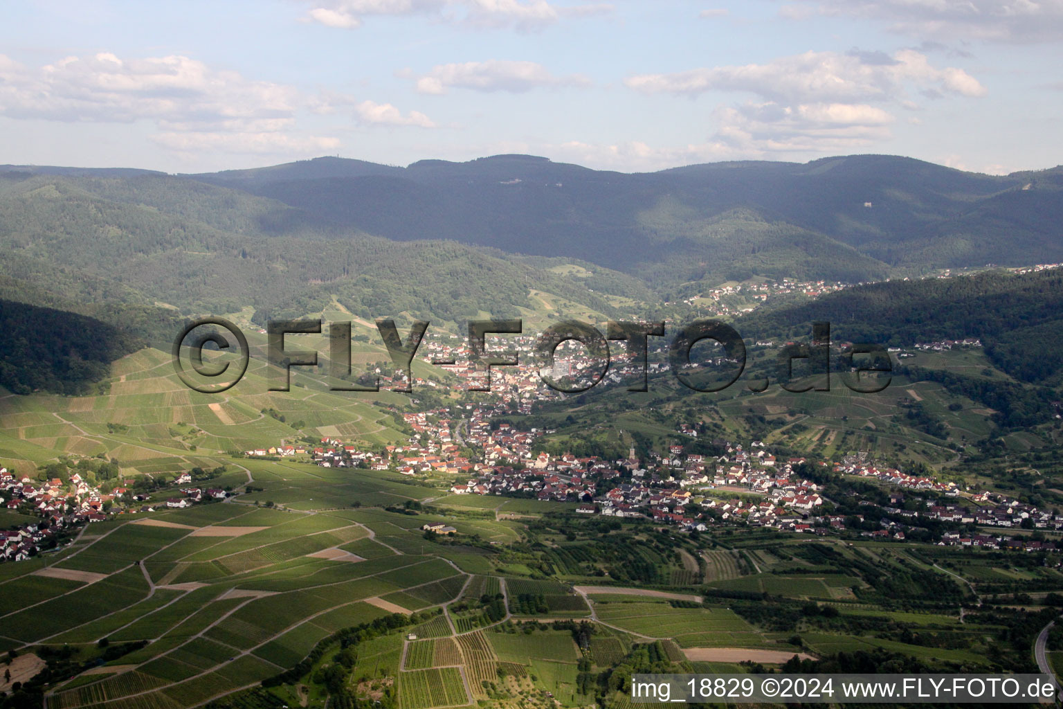 Bühlertal im Bundesland Baden-Württemberg, Deutschland vom Flugzeug aus