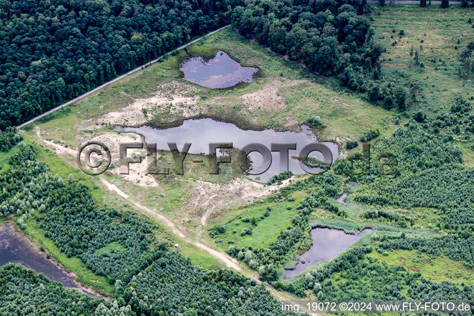 Uferbereiche eines gefluteten ehemaligen Abbau- Tagebaus und Renaturierungs- See in Foret de Haguenau in Grand Est in Kesseldorf im Bundesland Bas-Rhin, Frankreich