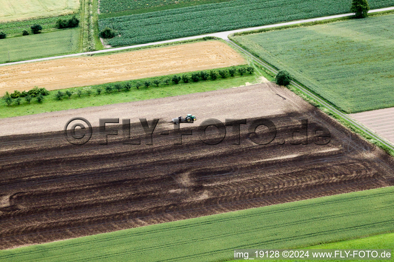 Jauche ausbringender Traktor auf landwirtschaftlichen Feldern in Achern im Ortsteil Wagshurst im Bundesland Baden-Württemberg, Deutschland