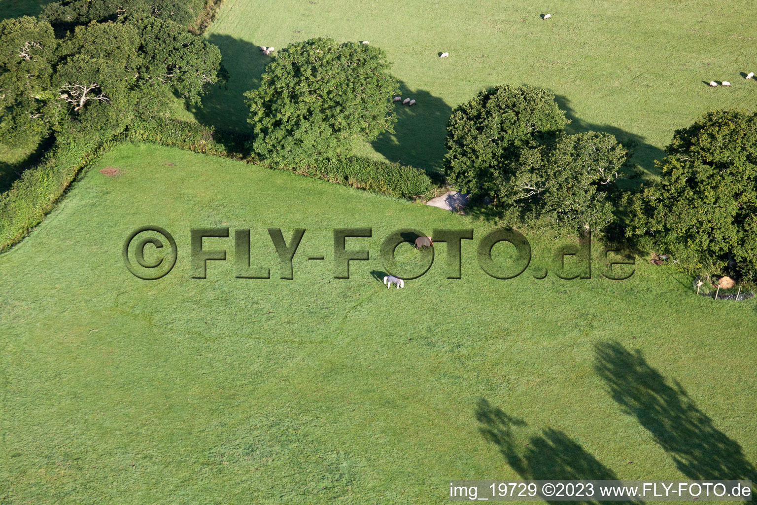 Abbotskerswell im Bundesland England, Großbritanien von der Drohne aus gesehen
