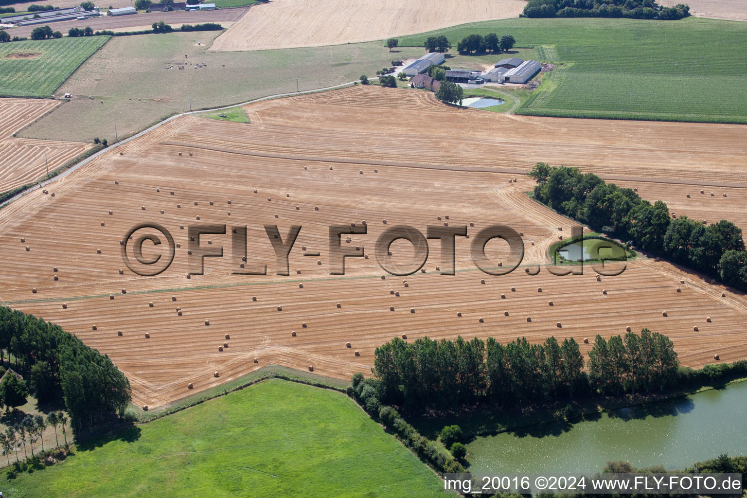 Getreidefeld- Strukturen in Melleray im Bundesland Sarthe, Frankreich