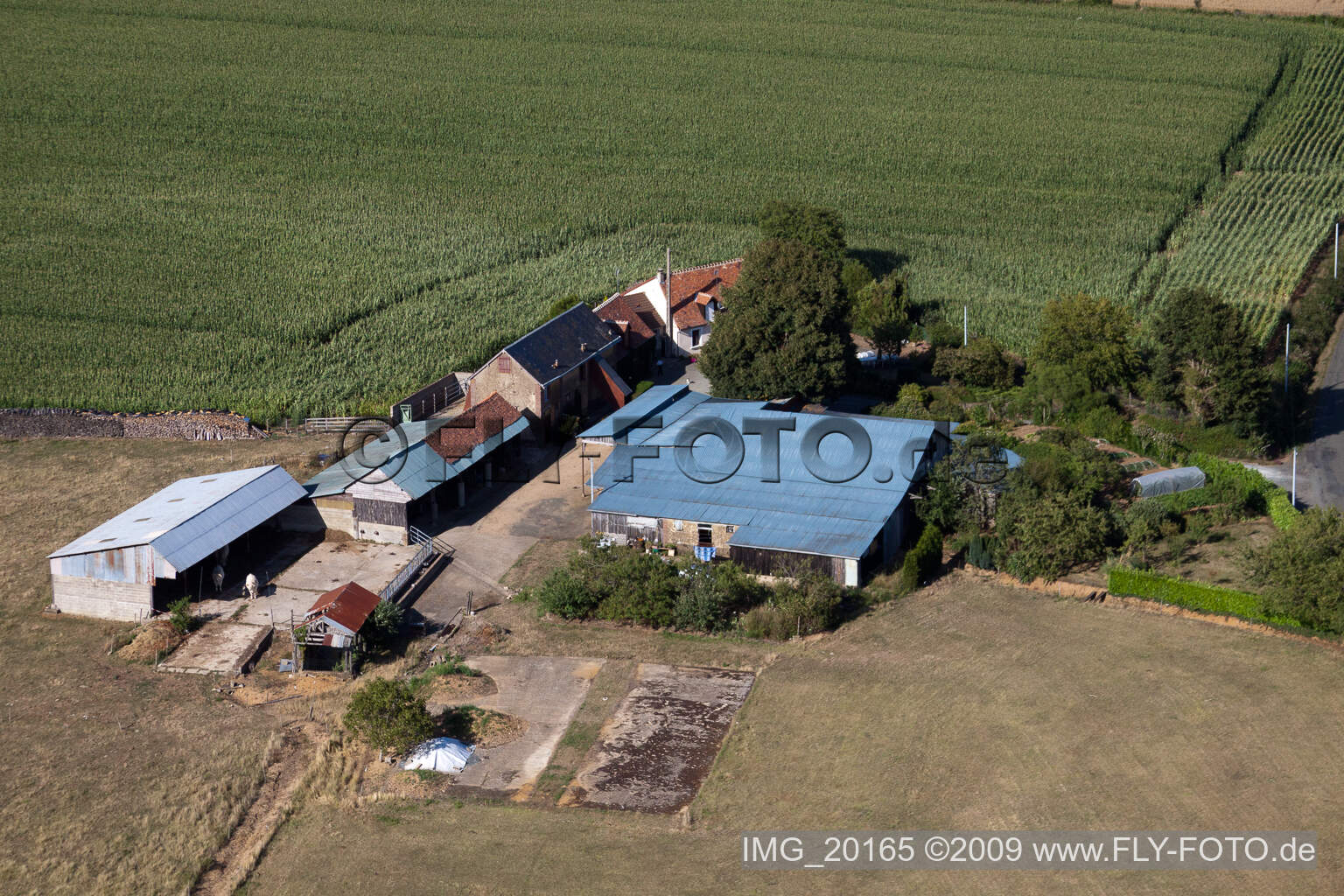 Luftaufnahme von Coudrecieux, La Petite Franchaise (Apiculteur) im Bundesland Sarthe, Frankreich