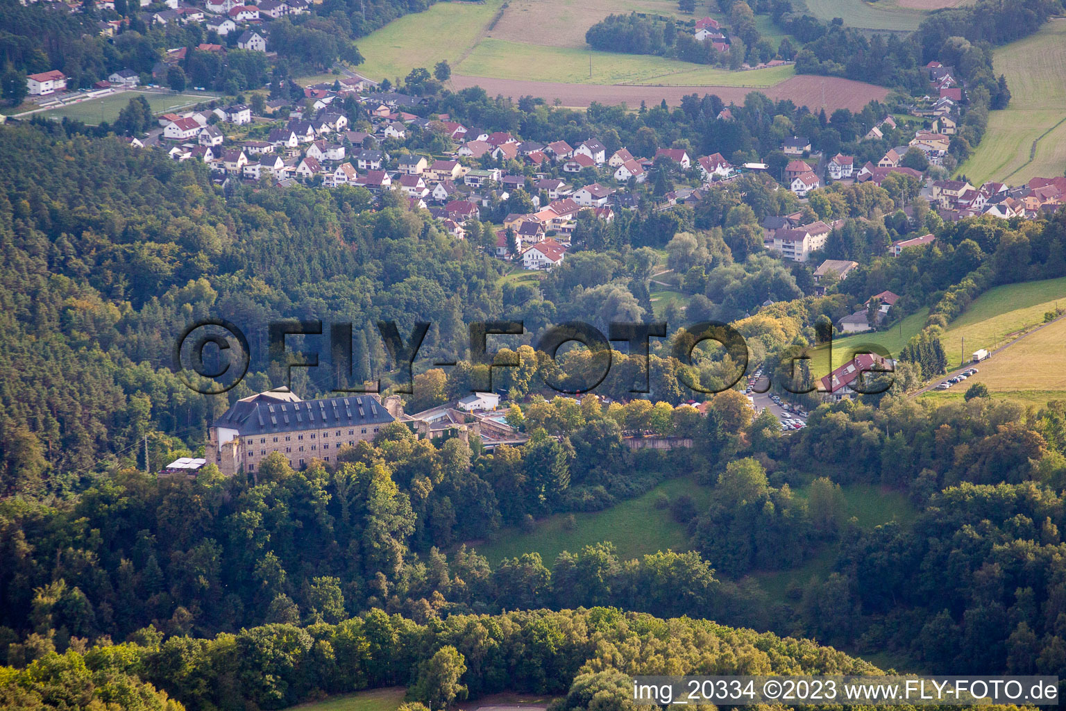 Luftbild von Altleiningen im Bundesland Rheinland-Pfalz, Deutschland