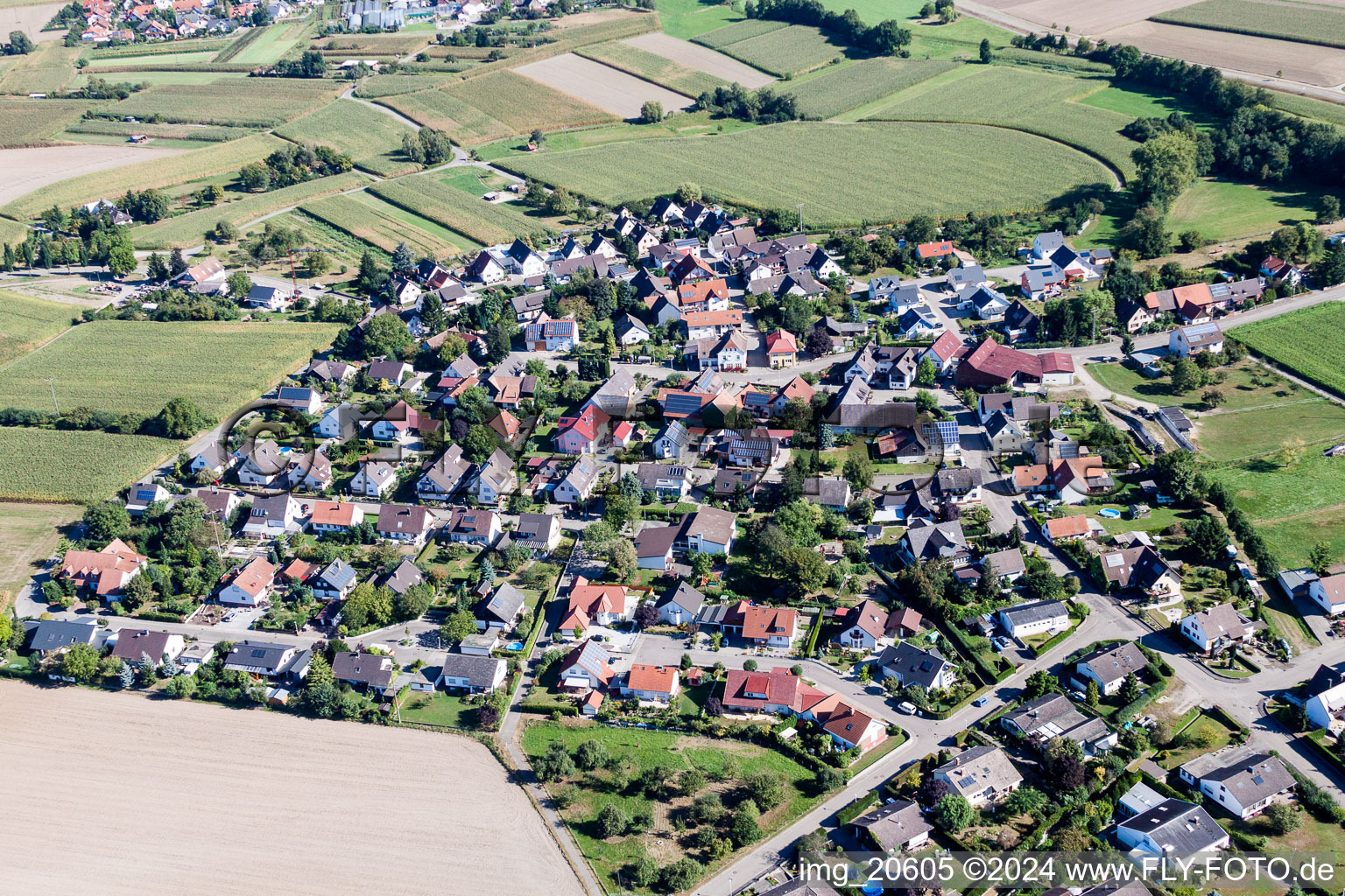 Dorf - Ansicht am Rande von landwirtschaftlichen Feldern und Nutzflächen im Ortsteil Querbach in Kehl im Bundesland Baden-Württemberg, Deutschland