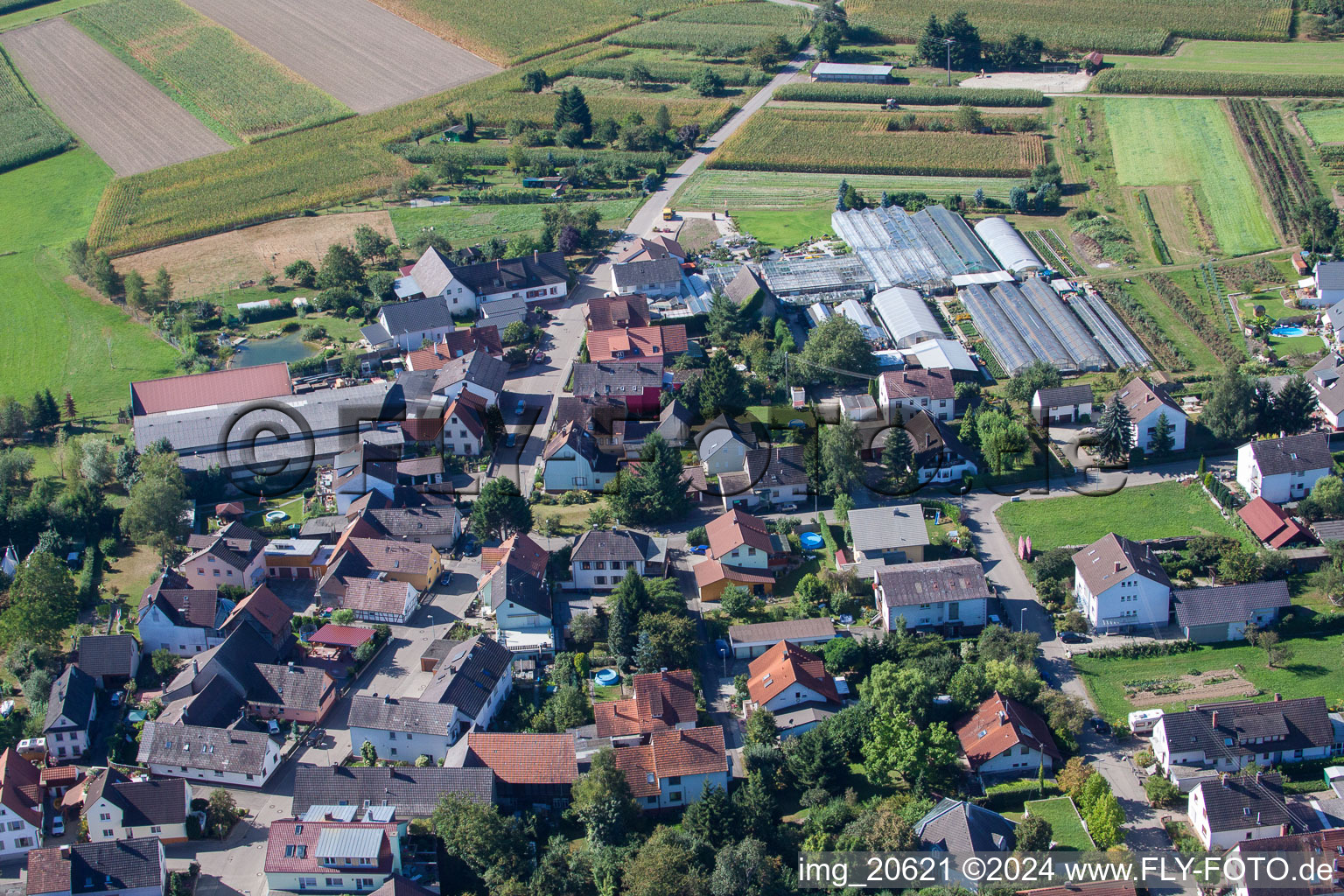 Dorf - Ansicht in Bodersweier in Kehl im Bundesland Baden-Württemberg, Deutschland