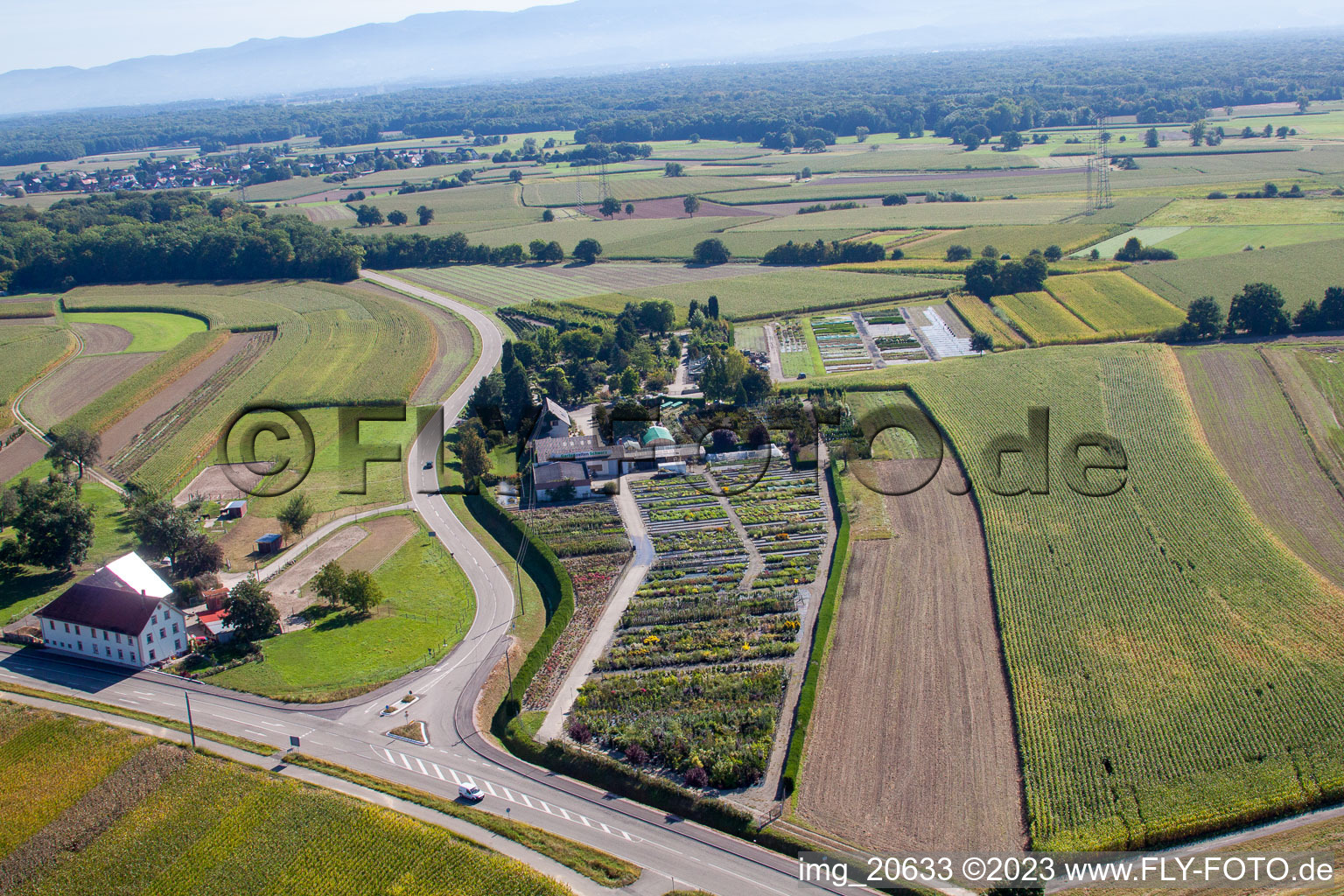 Luftaufnahme von Gartenzeiten Schwarz im Ortsteil Bodersweier in Kehl im Bundesland Baden-Württemberg, Deutschland