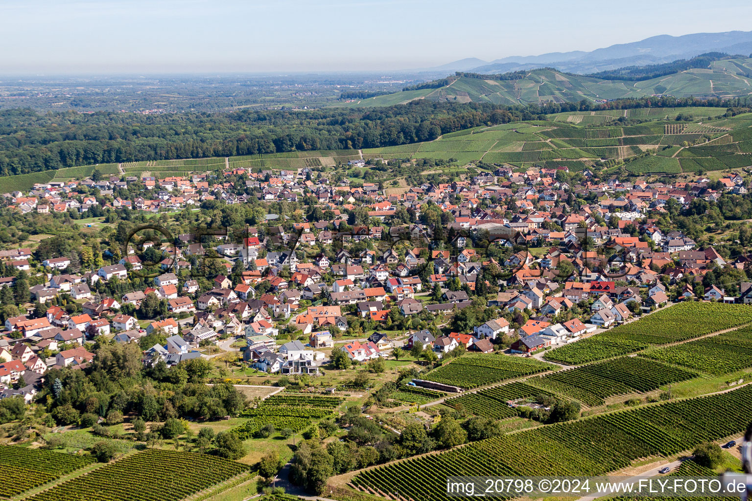 Ortsansicht zwischen Weinbergen in Zell-Weierbach in Offenburg im Bundesland Baden-Württemberg, Deutschland