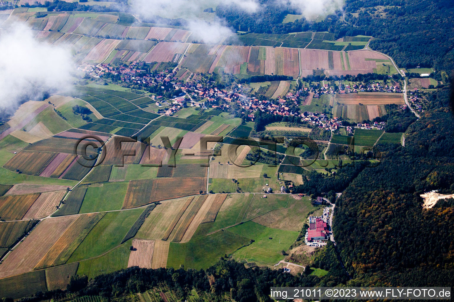 Luftbild von Cleebourg, Winzergenossenschaft im Bundesland Bas-Rhin, Frankreich