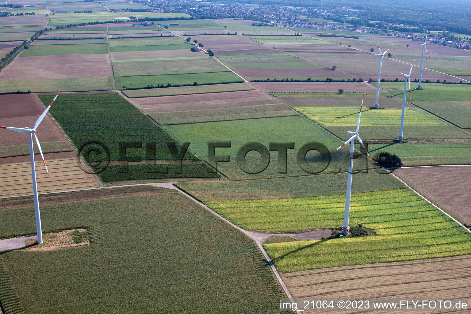 Minfeld, Windkraftanlagen im Bundesland Rheinland-Pfalz, Deutschland von oben gesehen