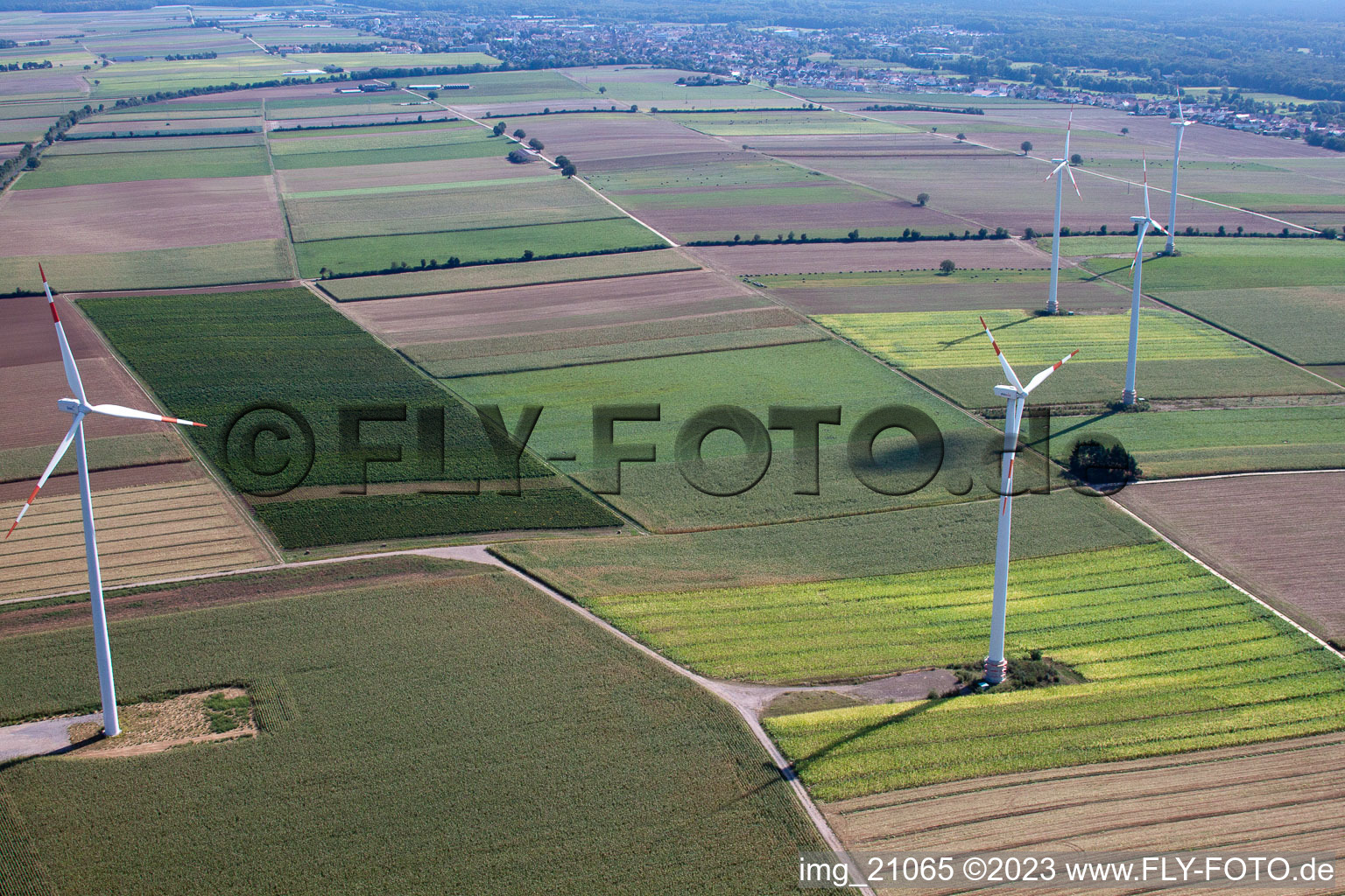 Minfeld, Windkraftanlagen im Bundesland Rheinland-Pfalz, Deutschland vom Flugzeug aus