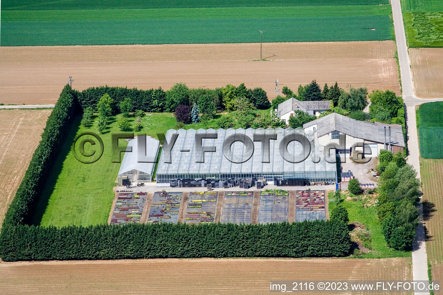 Luftbild von Steinweiler, Blättnerhof im Bundesland Rheinland-Pfalz, Deutschland