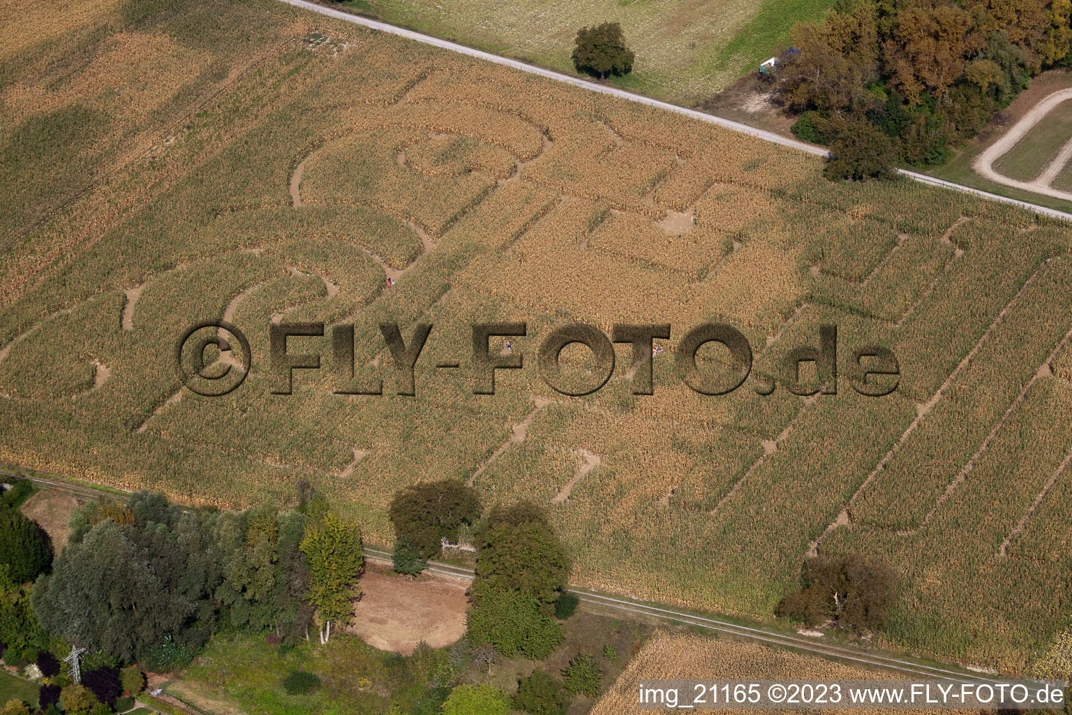 Leimersheim im Bundesland Rheinland-Pfalz, Deutschland von einer Drohne aus
