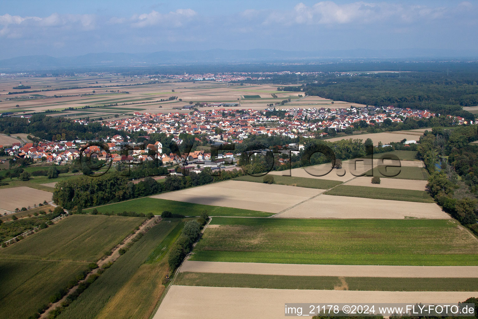 Luftaufnahme von Dorf - Ansicht am Rande von landwirtschaftlichen Feldern und Nutzflächen in Hördt im Bundesland Rheinland-Pfalz, Deutschland
