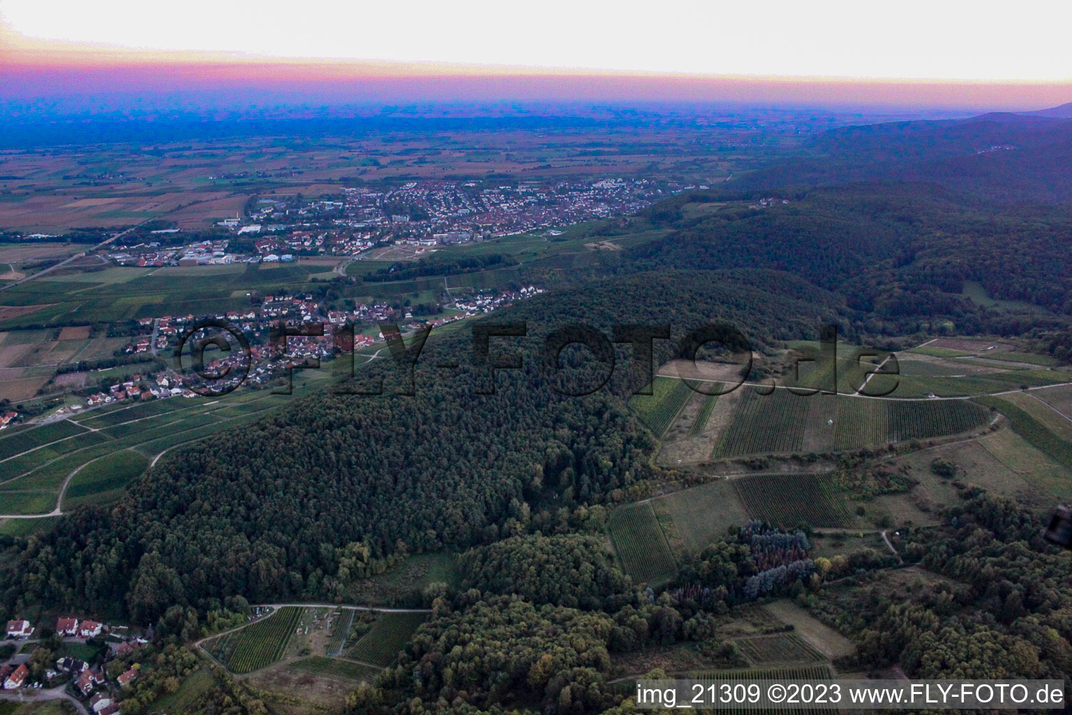 Pleisweiler-Oberhofen im Bundesland Rheinland-Pfalz, Deutschland aus der Luft