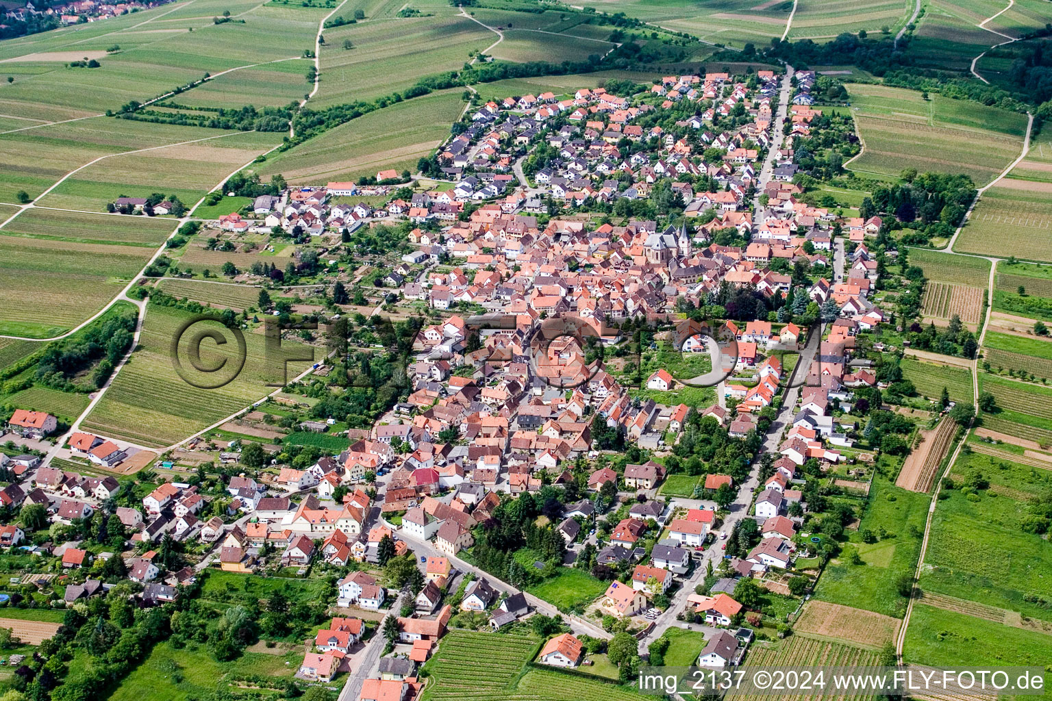 Luftbild von Ortsansicht der Straßen und Häuser der Wohngebiete im Ortsteil Arzheim in Landau in der Pfalz im Bundesland Rheinland-Pfalz, Deutschland