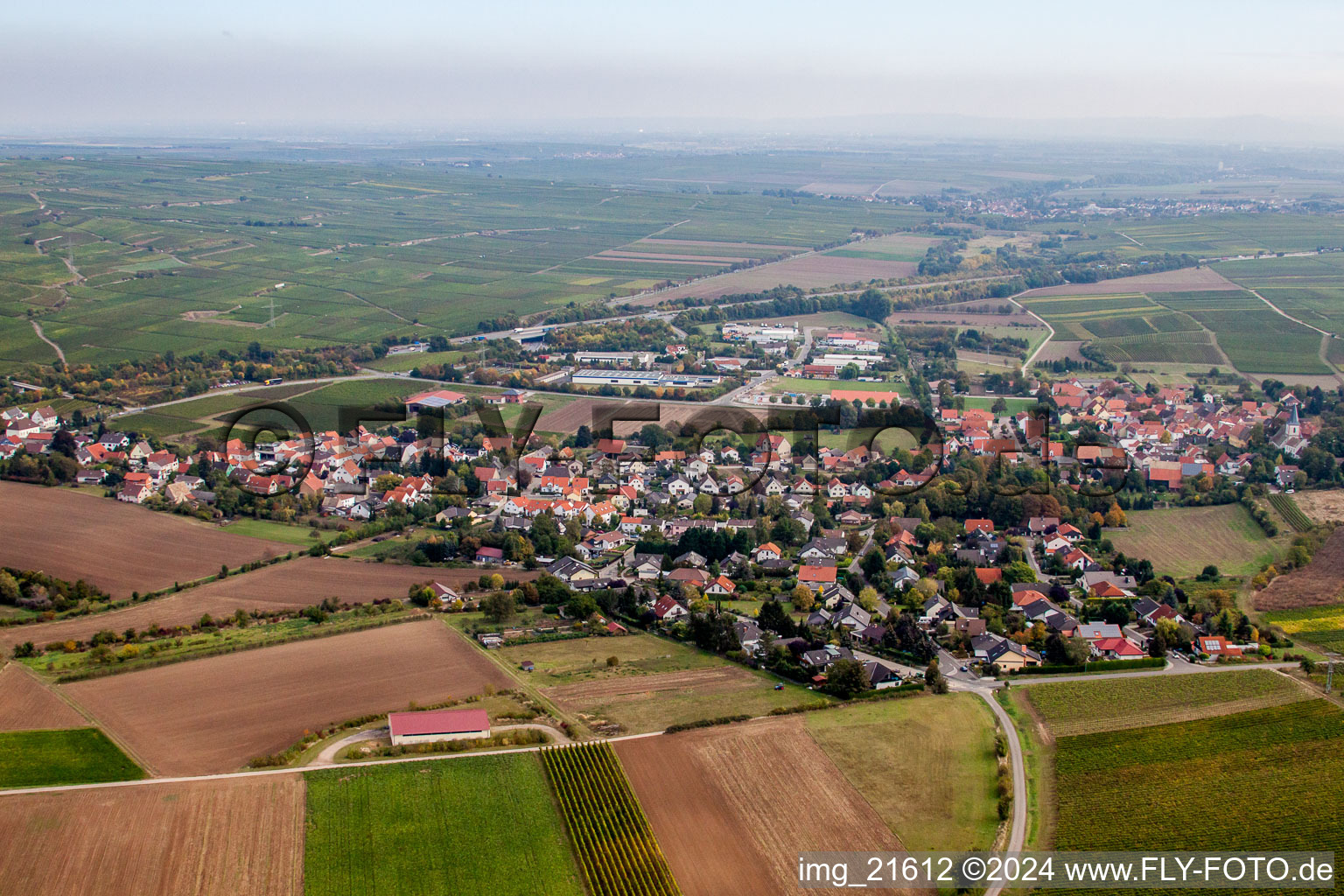 Dorf - Ansicht am Rande von landwirtschaftlichen Feldern und Nutzflächen in Gundersheim im Bundesland Rheinland-Pfalz, Deutschland