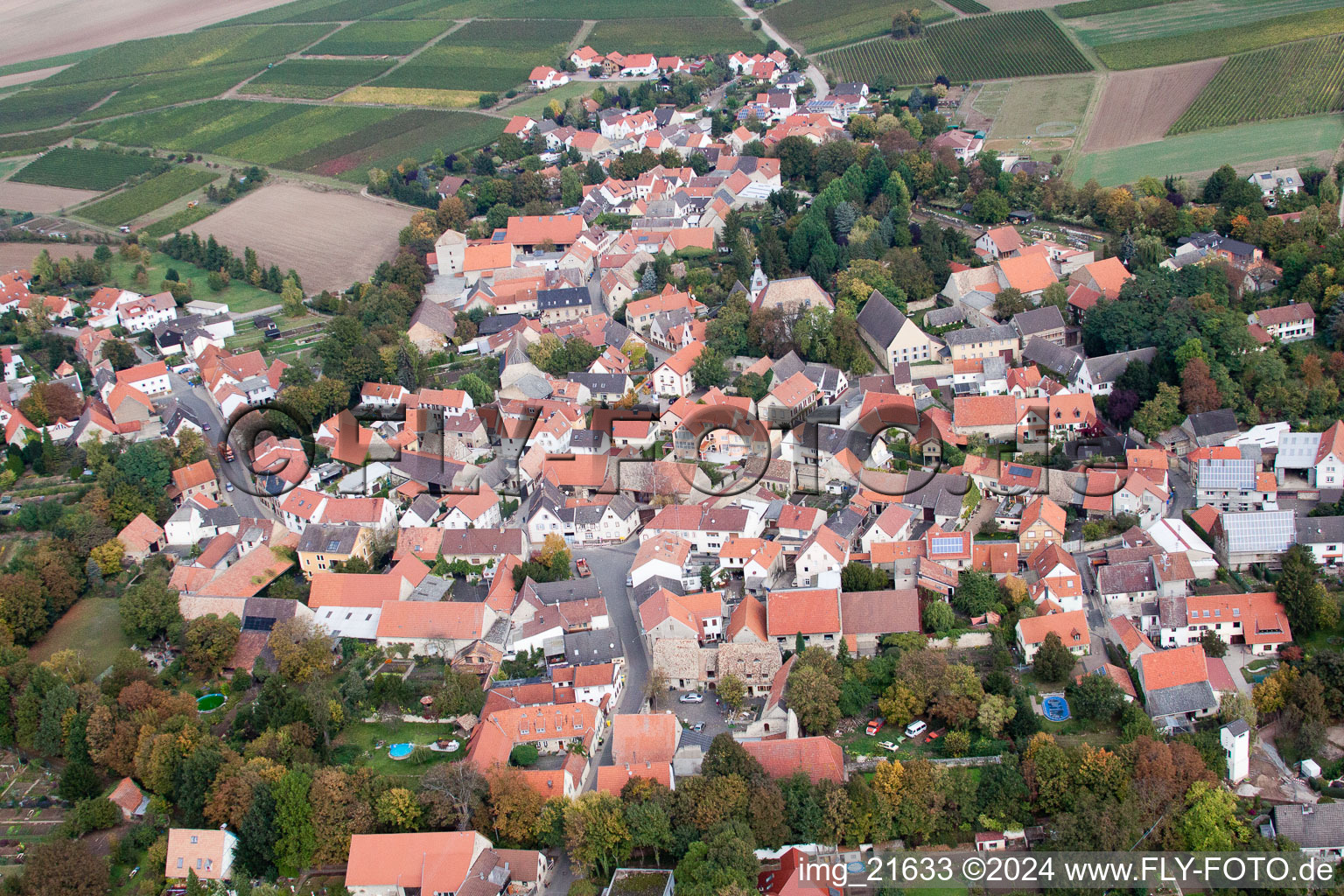 Dorf - Ansicht am Rande von landwirtschaftlichen Feldern und Nutzflächen in Eppelsheim im Bundesland Rheinland-Pfalz, Deutschland