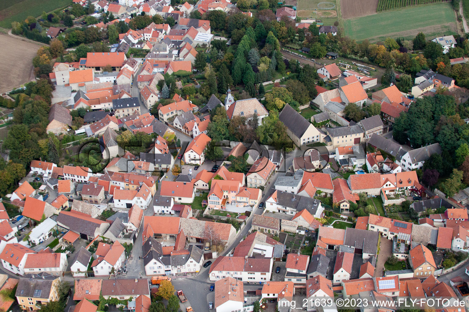 Eppelsheim im Bundesland Rheinland-Pfalz, Deutschland aus der Luft
