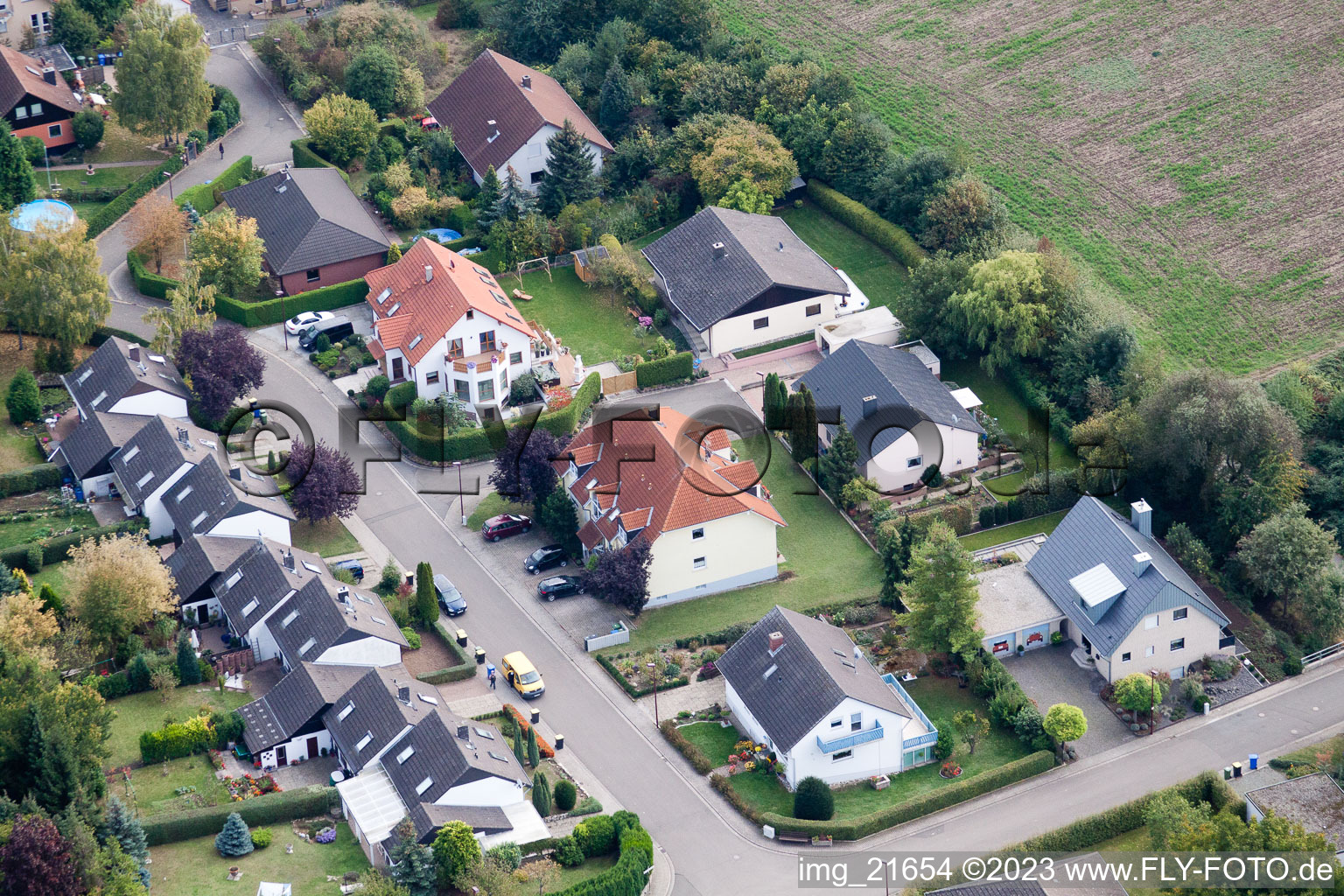 Eppelsheim im Bundesland Rheinland-Pfalz, Deutschland aus der Luft betrachtet