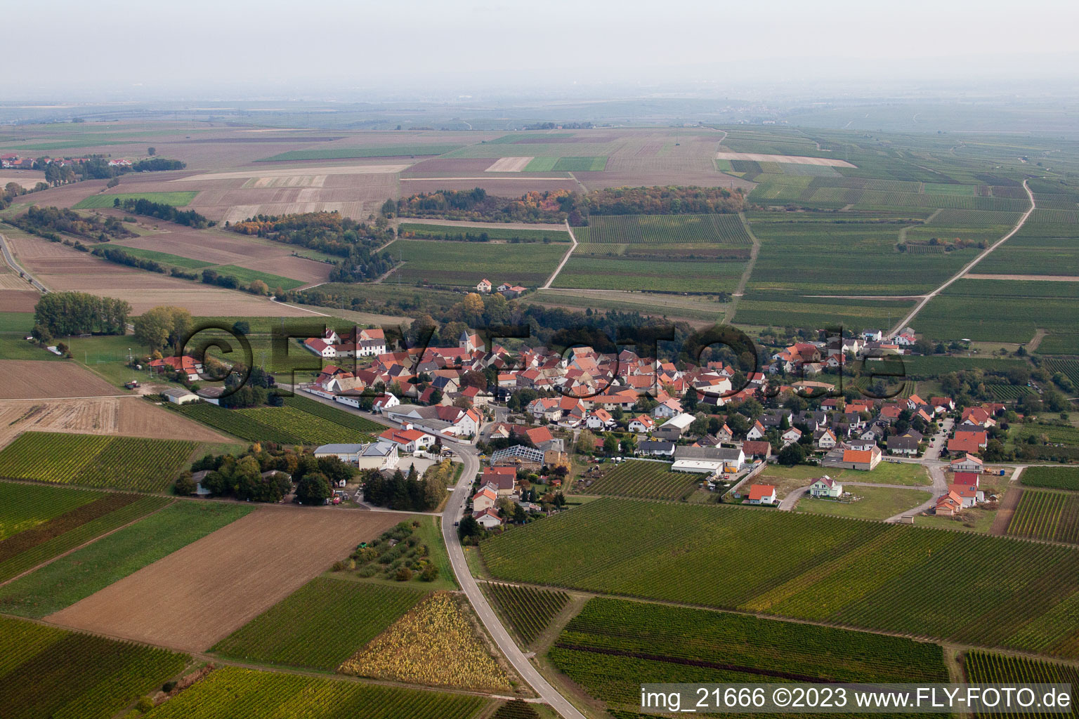 Eppelsheim im Bundesland Rheinland-Pfalz, Deutschland von einer Drohne aus