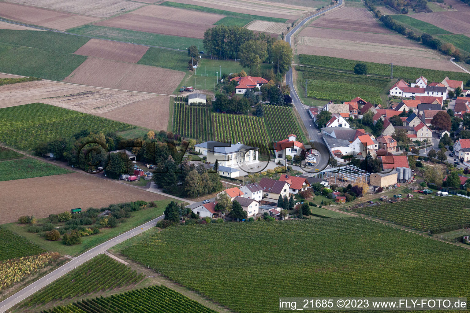 Eppelsheim im Bundesland Rheinland-Pfalz, Deutschland aus der Drohnenperspektive