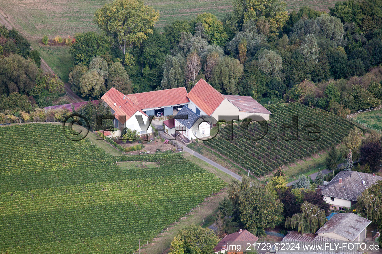 Schrägluftbild von Ober-Flörsheim im Bundesland Rheinland-Pfalz, Deutschland