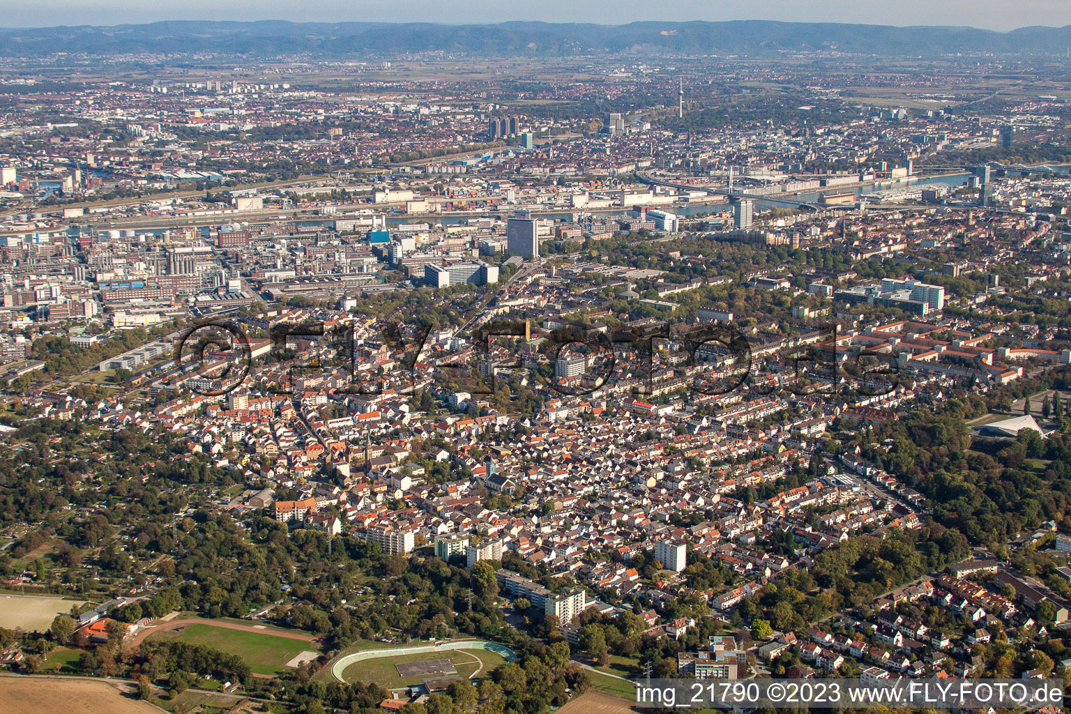Luftaufnahme von Ortsteil Friesenheim in Ludwigshafen am Rhein im Bundesland Rheinland-Pfalz, Deutschland