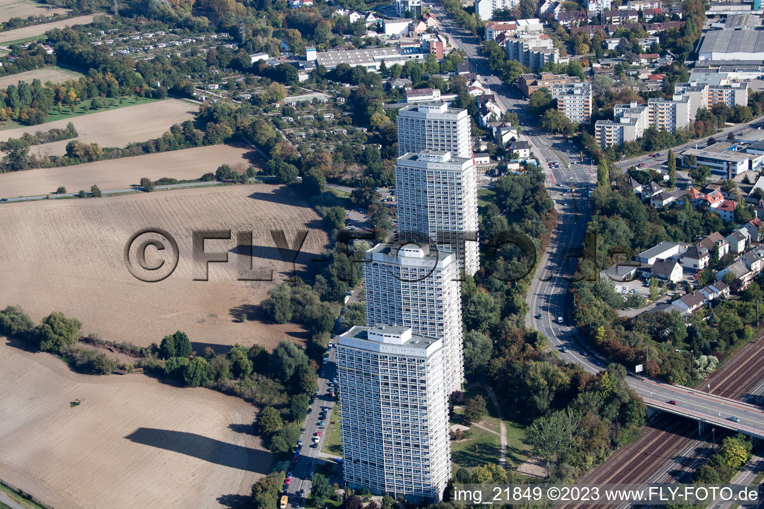 Luftbild von Oggersheim, An der Froschlache im Ortsteil Friesenheim in Ludwigshafen am Rhein im Bundesland Rheinland-Pfalz, Deutschland