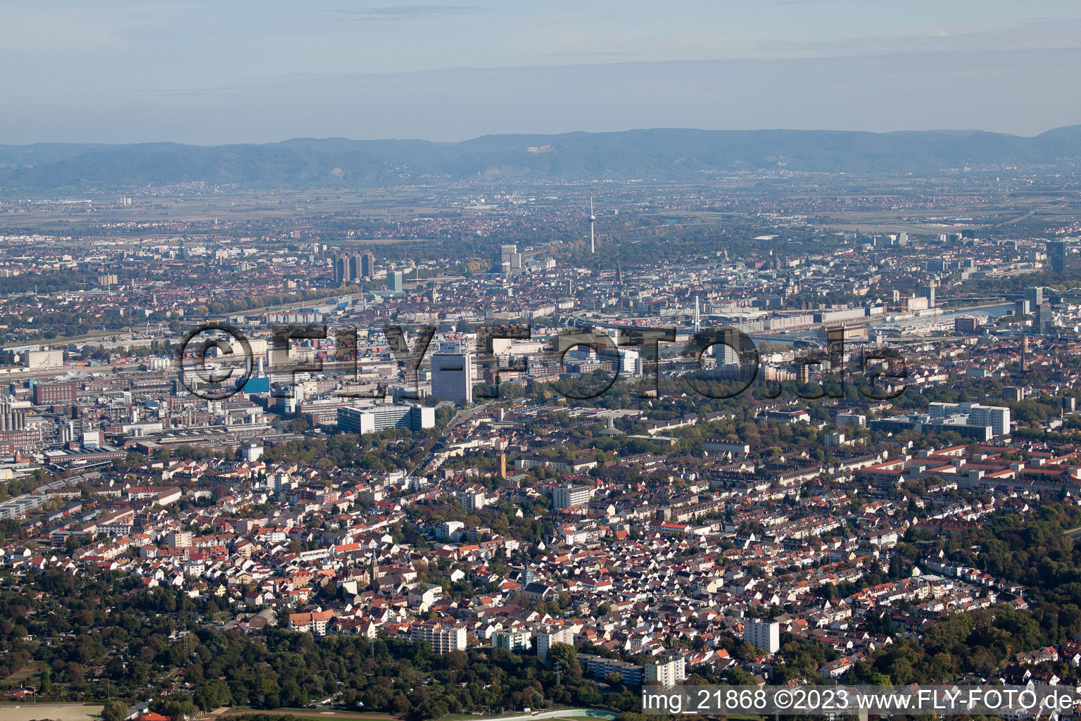 Luftbild von BASF Süd im Ortsteil Friesenheim in Ludwigshafen am Rhein im Bundesland Rheinland-Pfalz, Deutschland