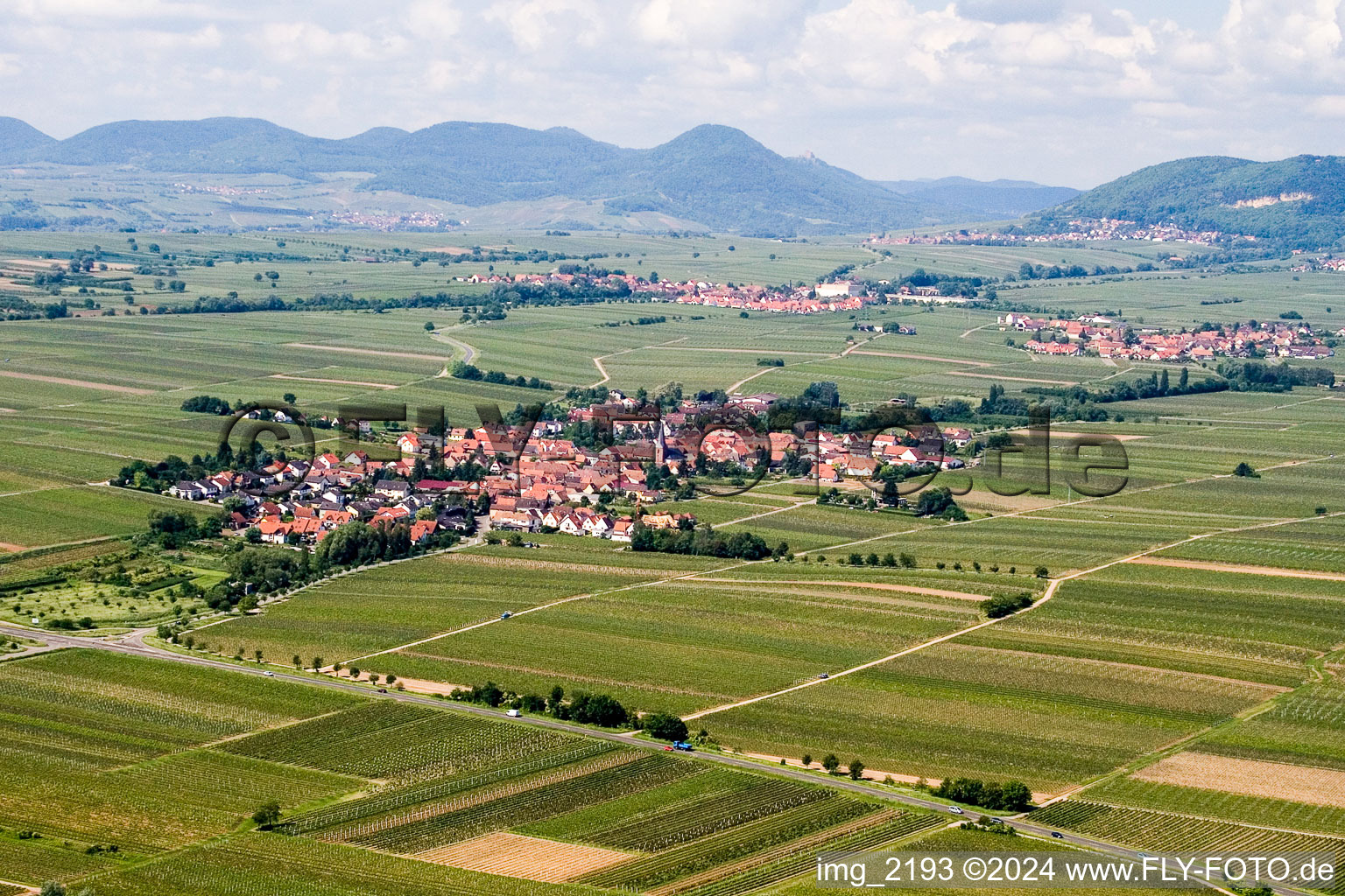 Dorf - Ansicht am Rande von Weinbergen in Roschbach im Bundesland Rheinland-Pfalz, Deutschland