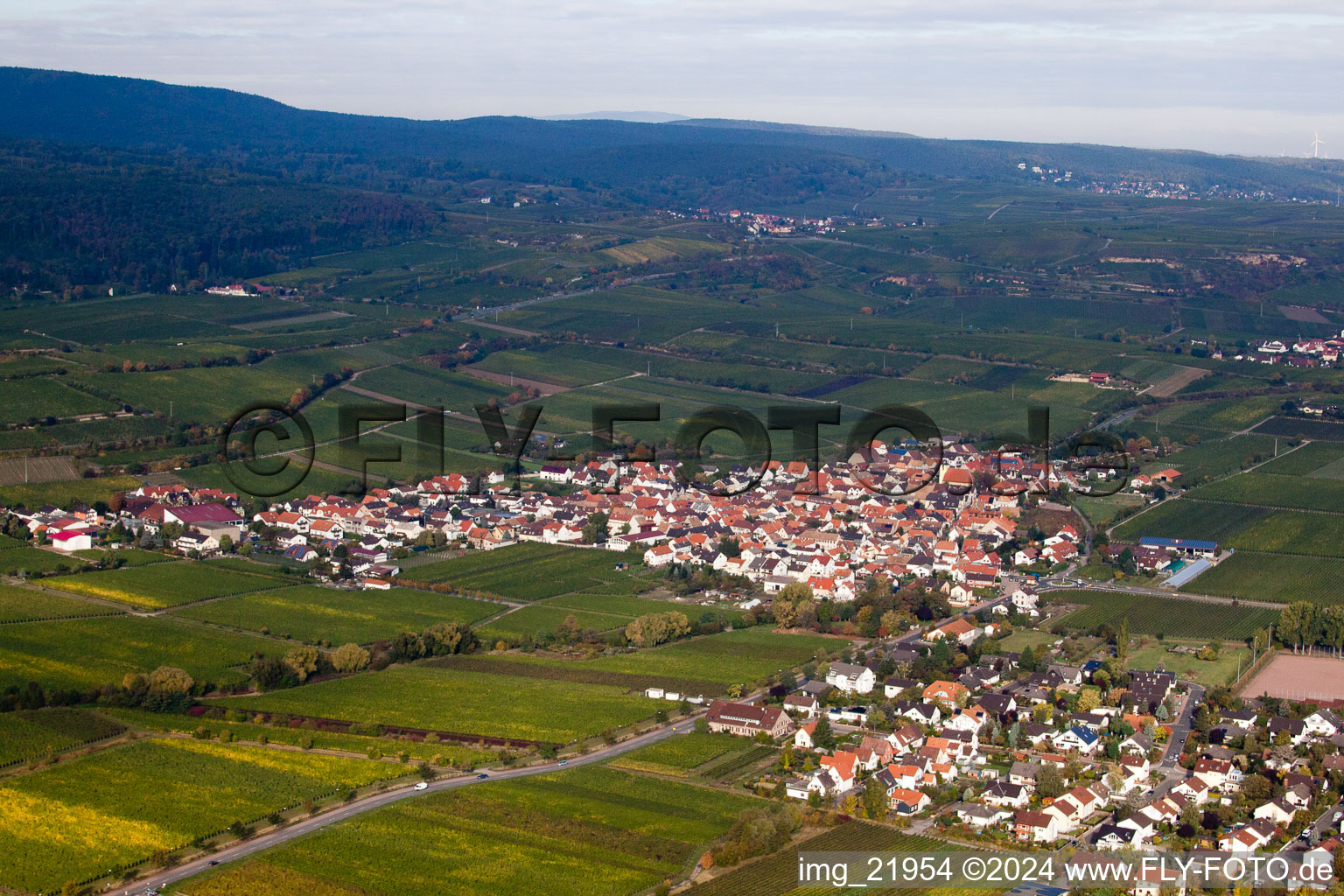 Dorf - Ansicht am Rande von Weinbergen und Nutzflächen im Ortsteil Ungstein in Bad Dürkheim im Bundesland Rheinland-Pfalz, Deutschland