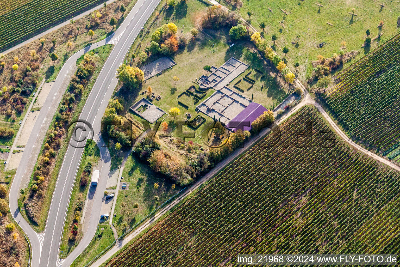 Luftbild von Grundmauern der römischen Villa Rustica Wachenheim in Wachenheim an der Weinstraße im Bundesland Rheinland-Pfalz, Deutschland