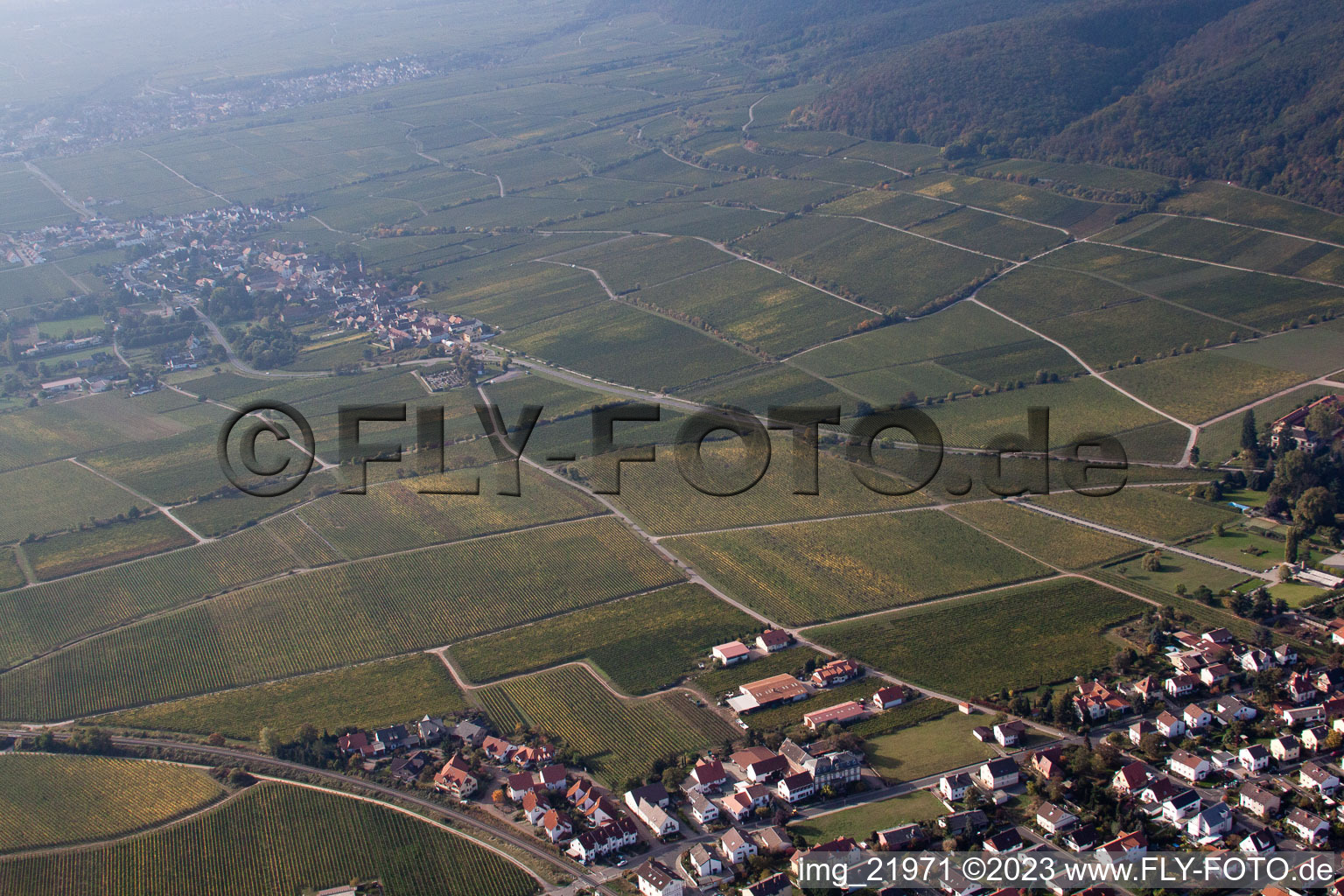 Wachenheim an der Weinstraße im Bundesland Rheinland-Pfalz, Deutschland aus der Luft betrachtet